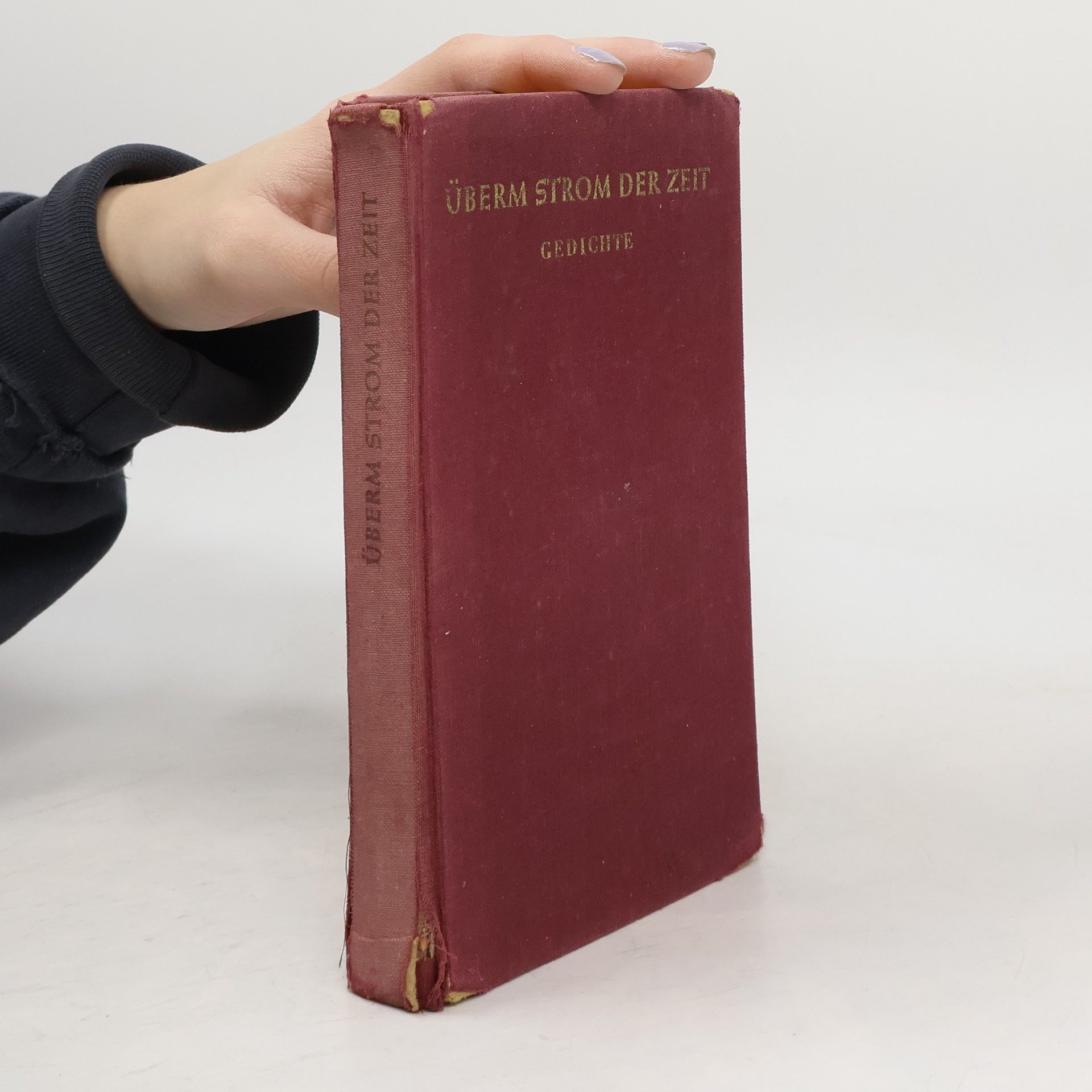 Autorenkollektiv Überm Strom der Zeit