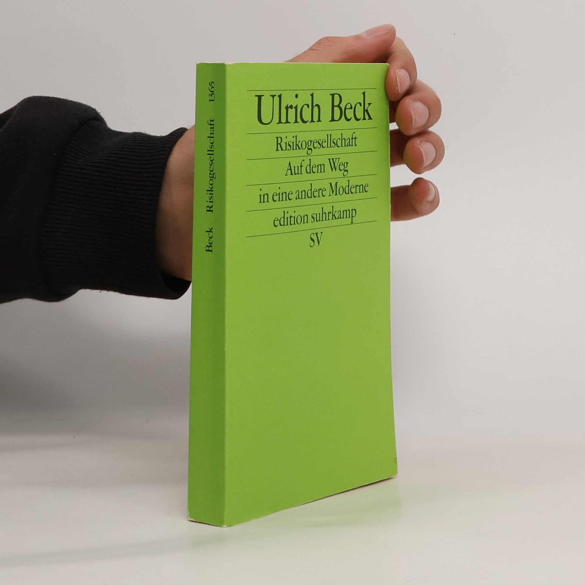 Ulrich Beck Risikogesellschaft