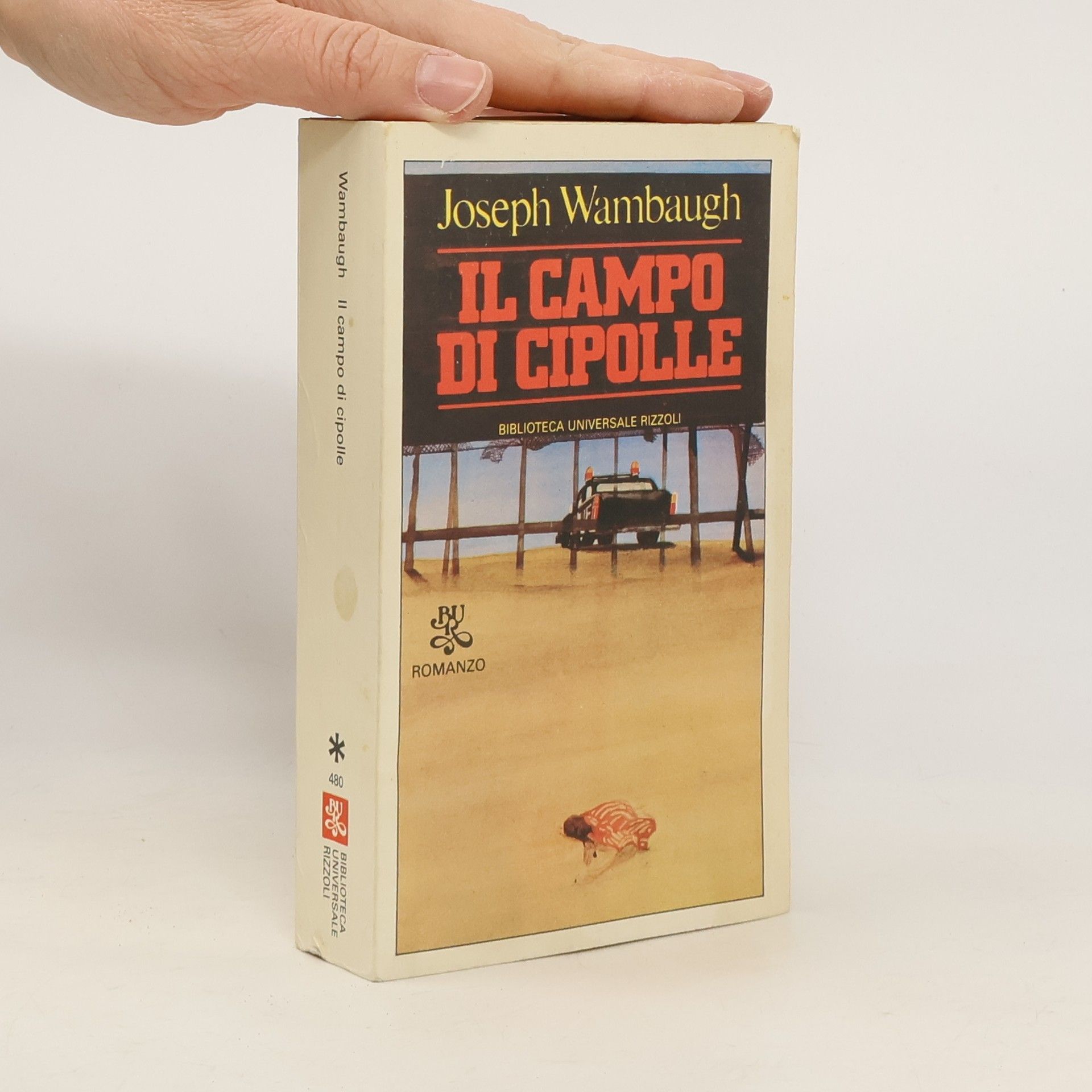 Il Campo di Cipolle