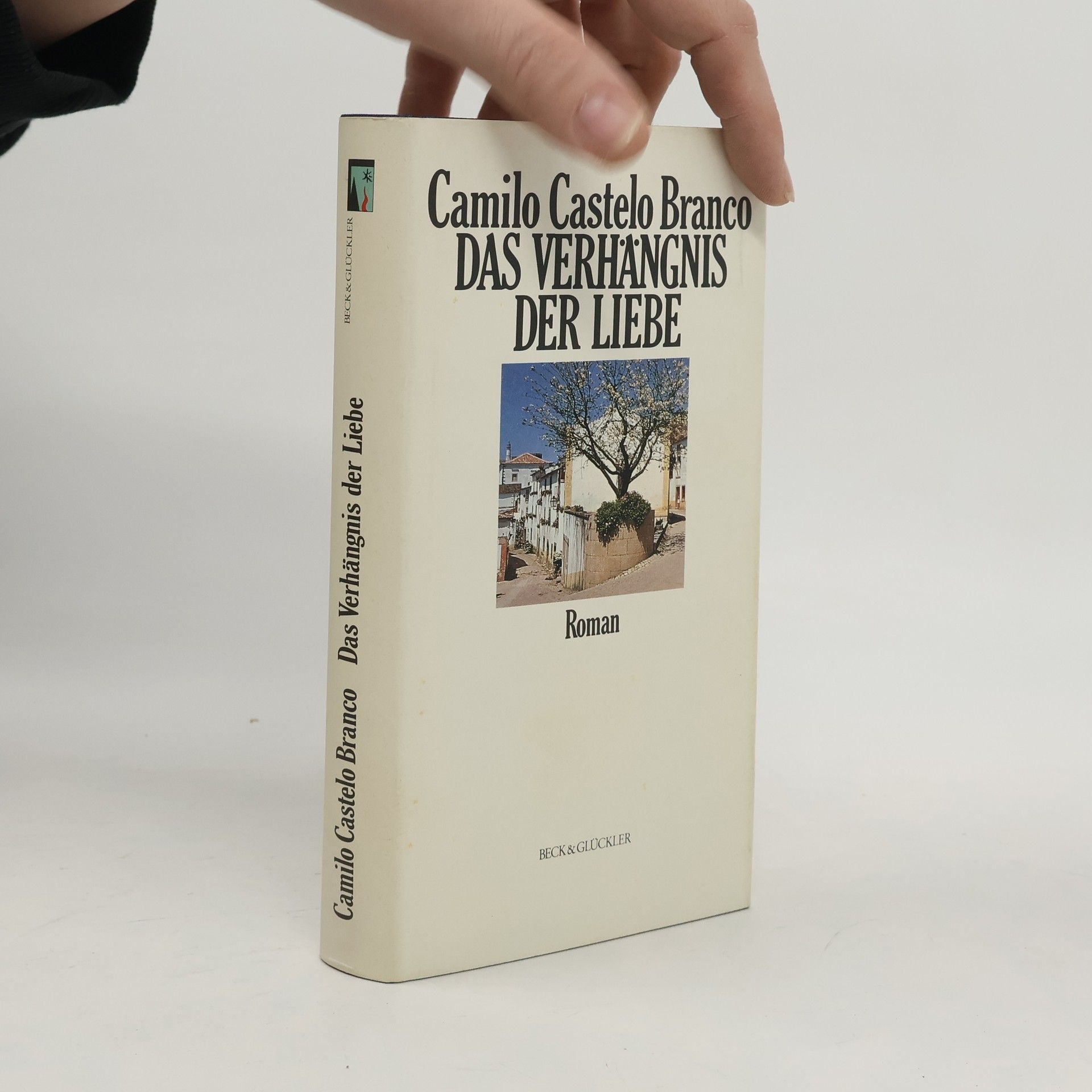 Das Verhängnis der Liebe