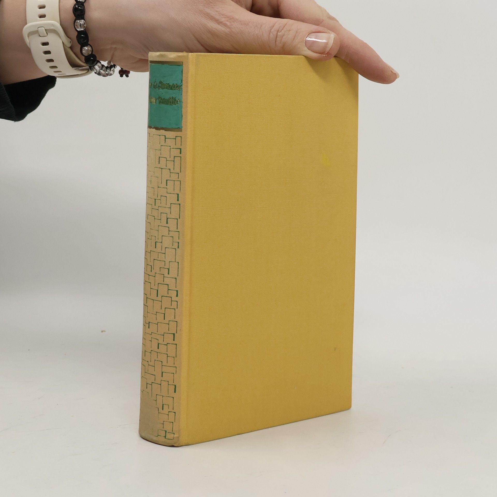 José Maria Eca de Queiroz Vetter Basilio