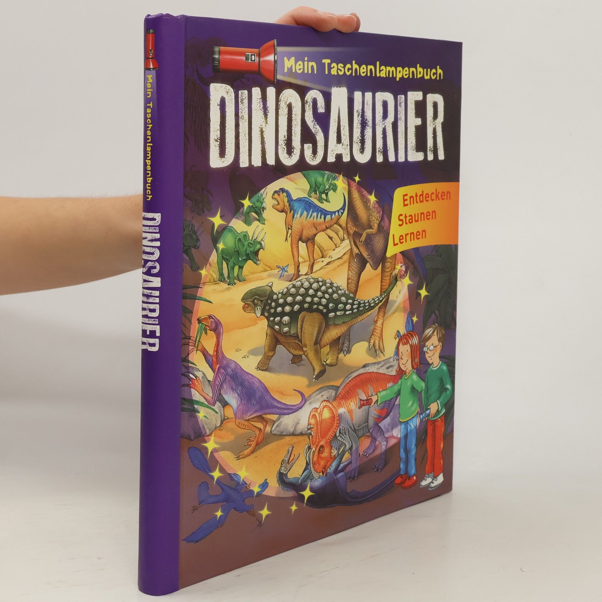 Autorenkollektiv Mein Taschenlampenbuch Dinosaurier