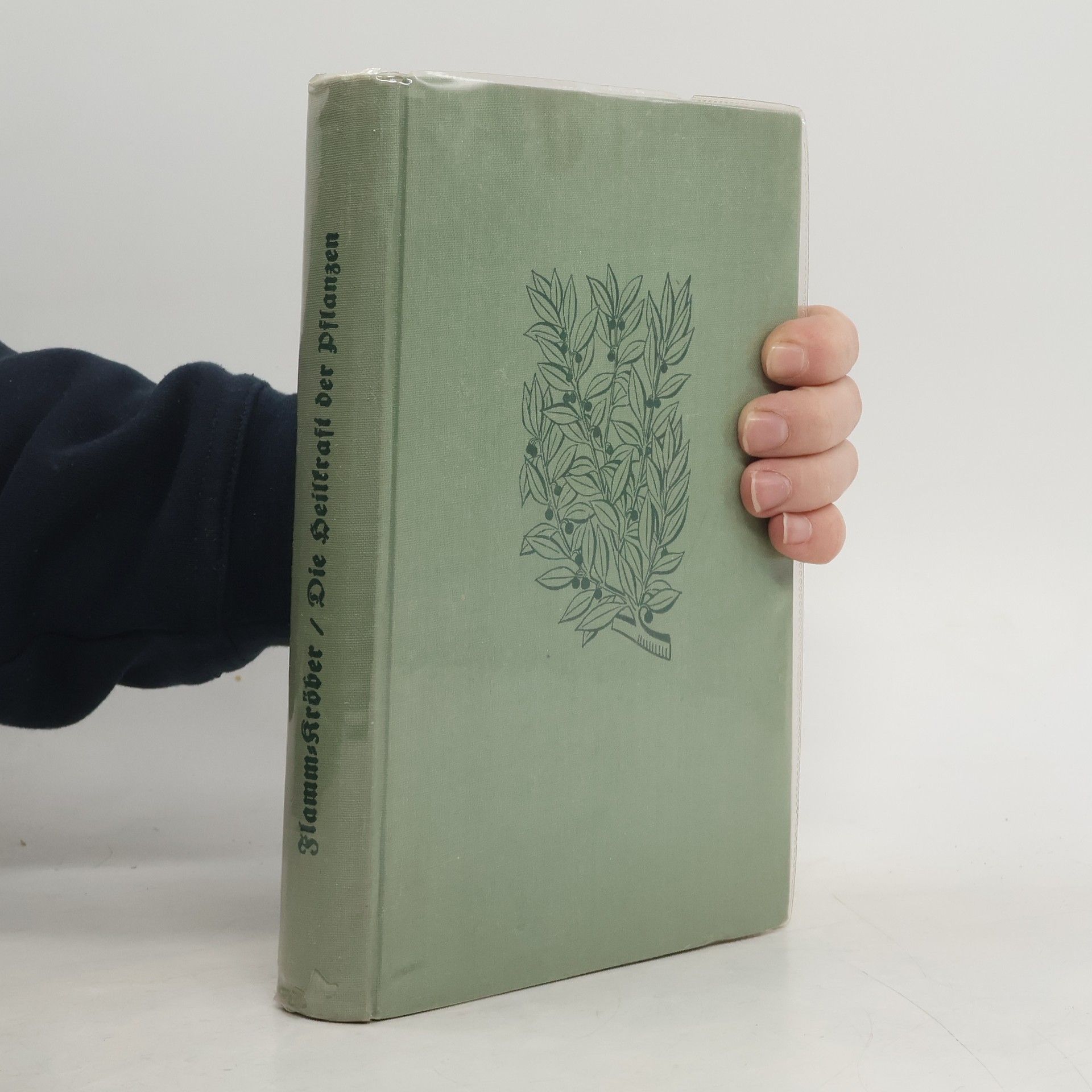 Autorenkollektiv  Die Heilkraft der Pflanzen