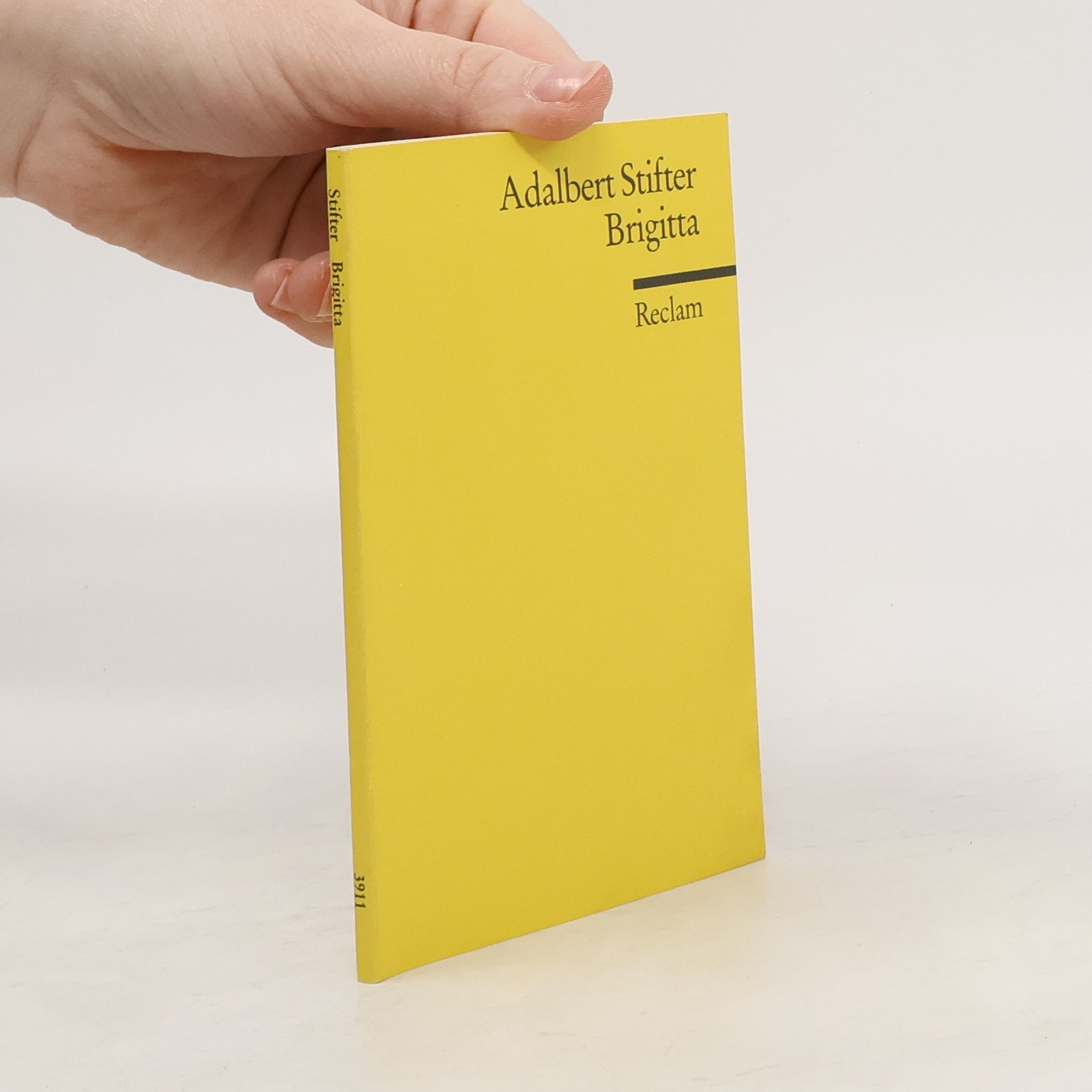 Adalbert Stifter Brigitta