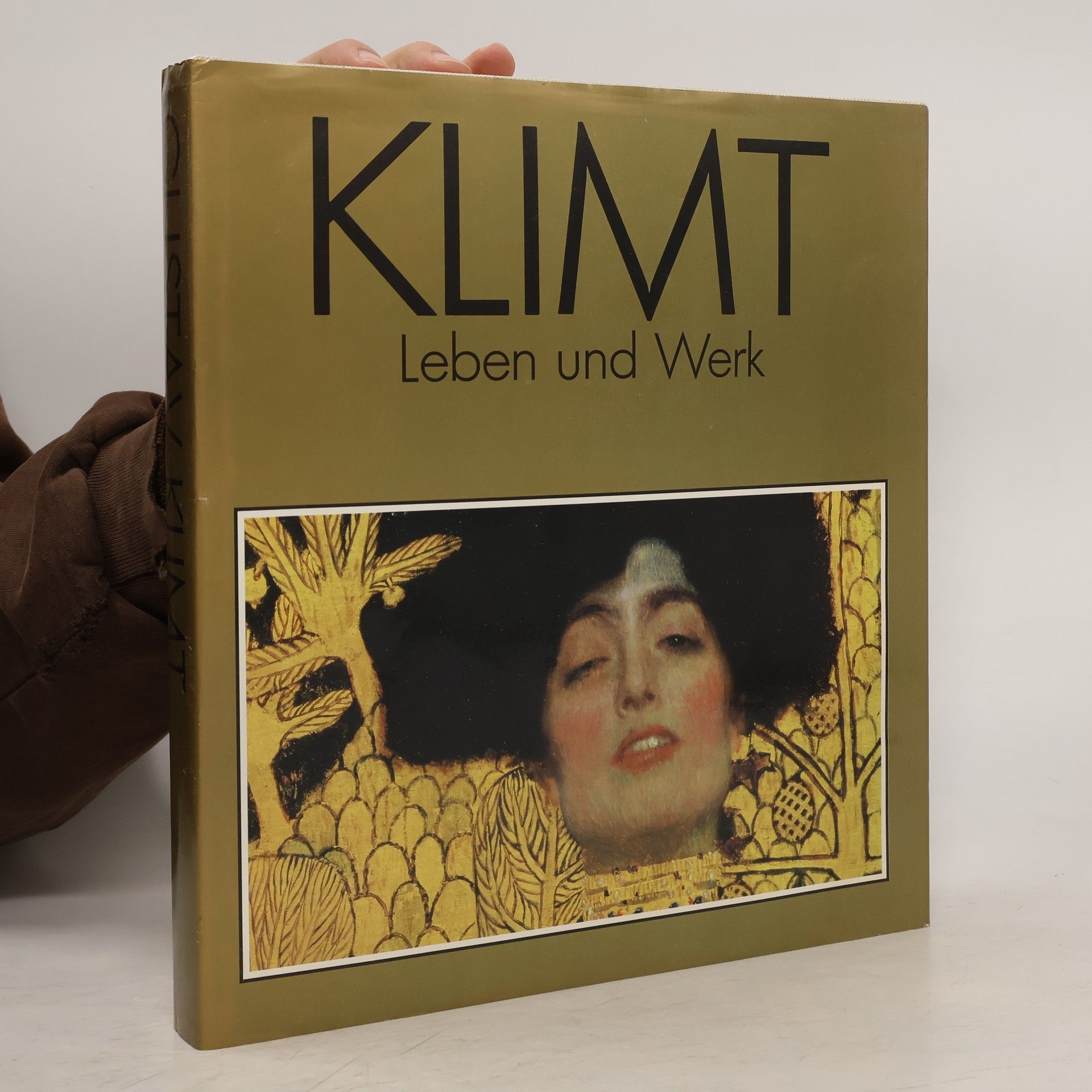 Auteurscollectief Klimt. Leben und Werk