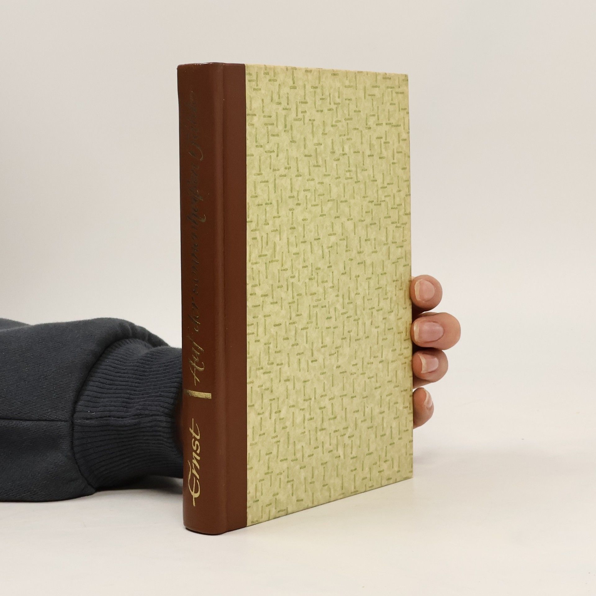 Hans-Ernst Schwiete Auf der sonnenheißen Halde