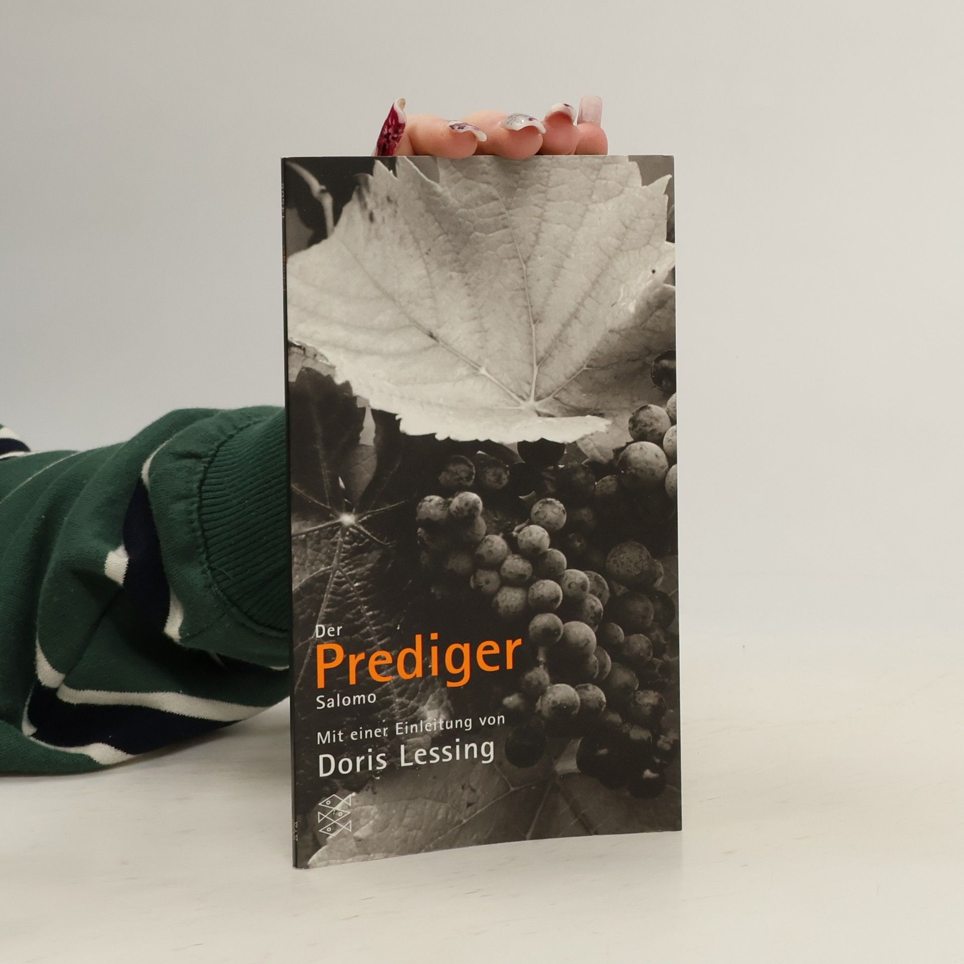 Doris Lessing Das Bibel Projekt: Der Prediger Salomo