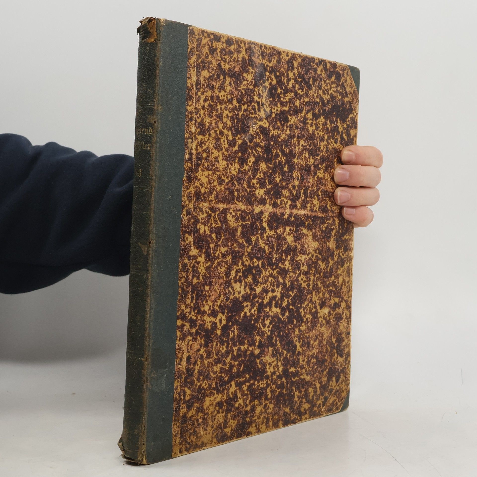 Collectif d'auteurs Flienende Blatter. Band XCIII.