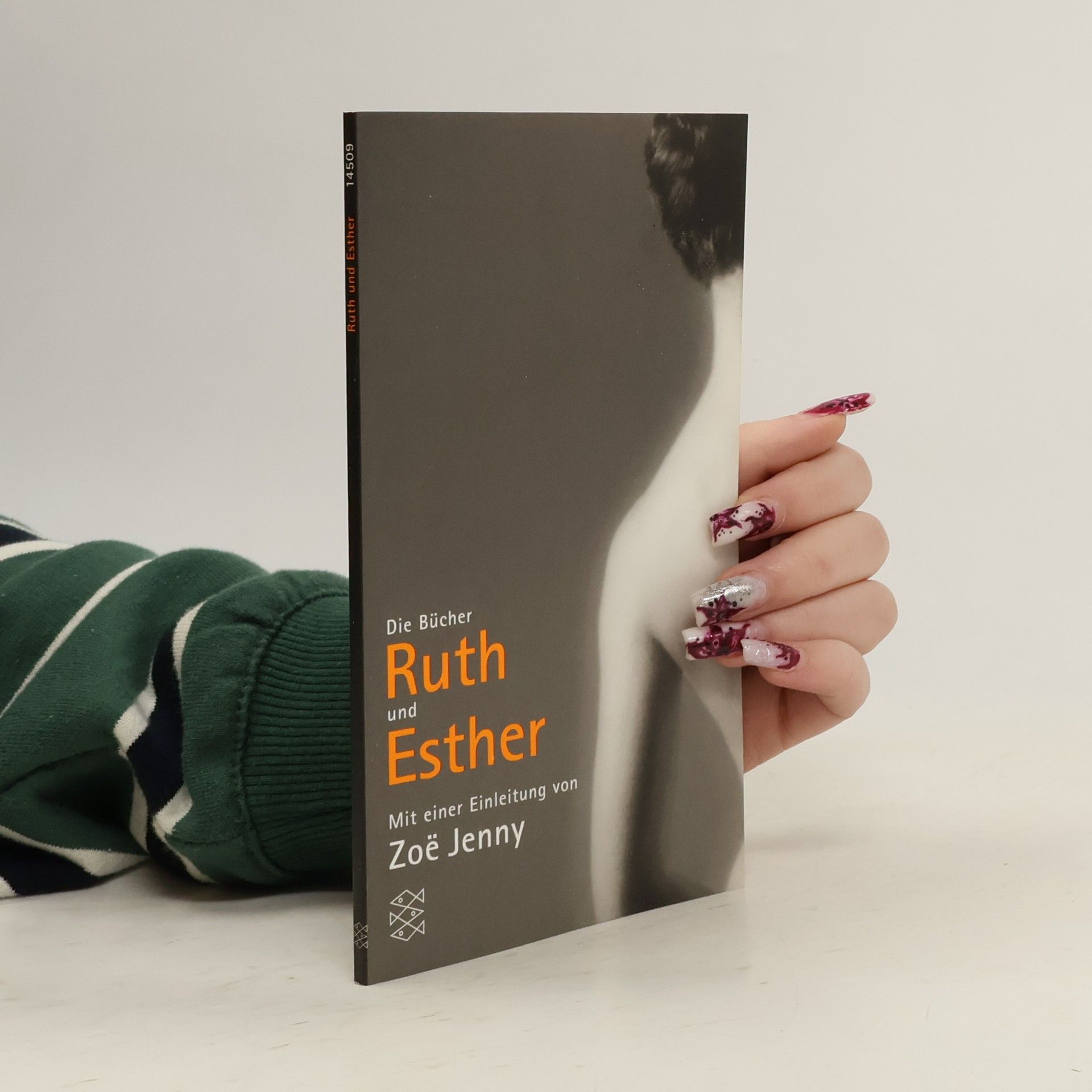Collectif d'auteurs Das Bibel Projekt. Die Bücher Ruth und Ester