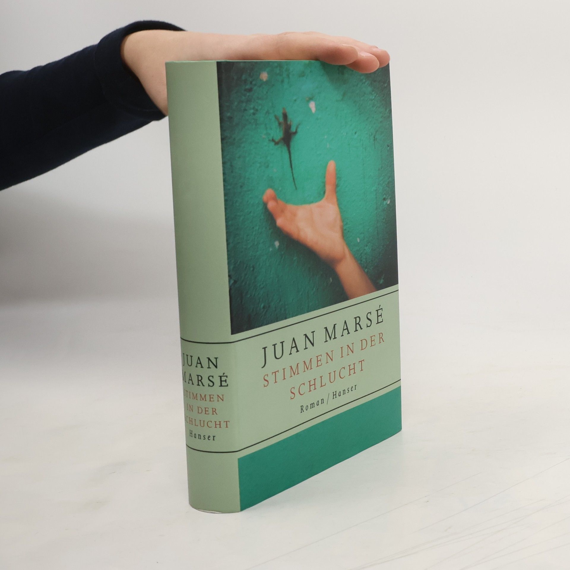 Marsé Juan Stimmen in der Schlucht