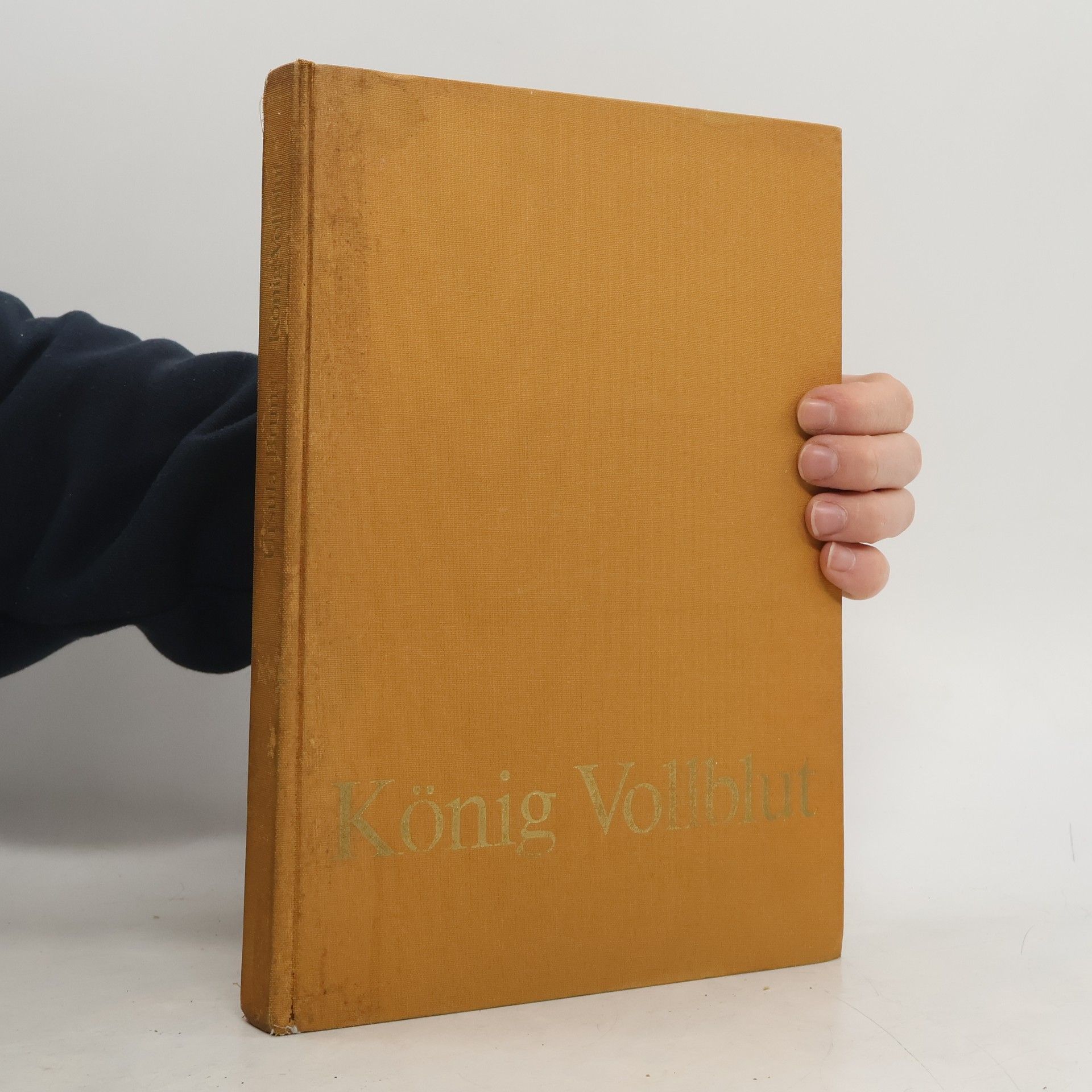 Ursula Bruns König Vollblut