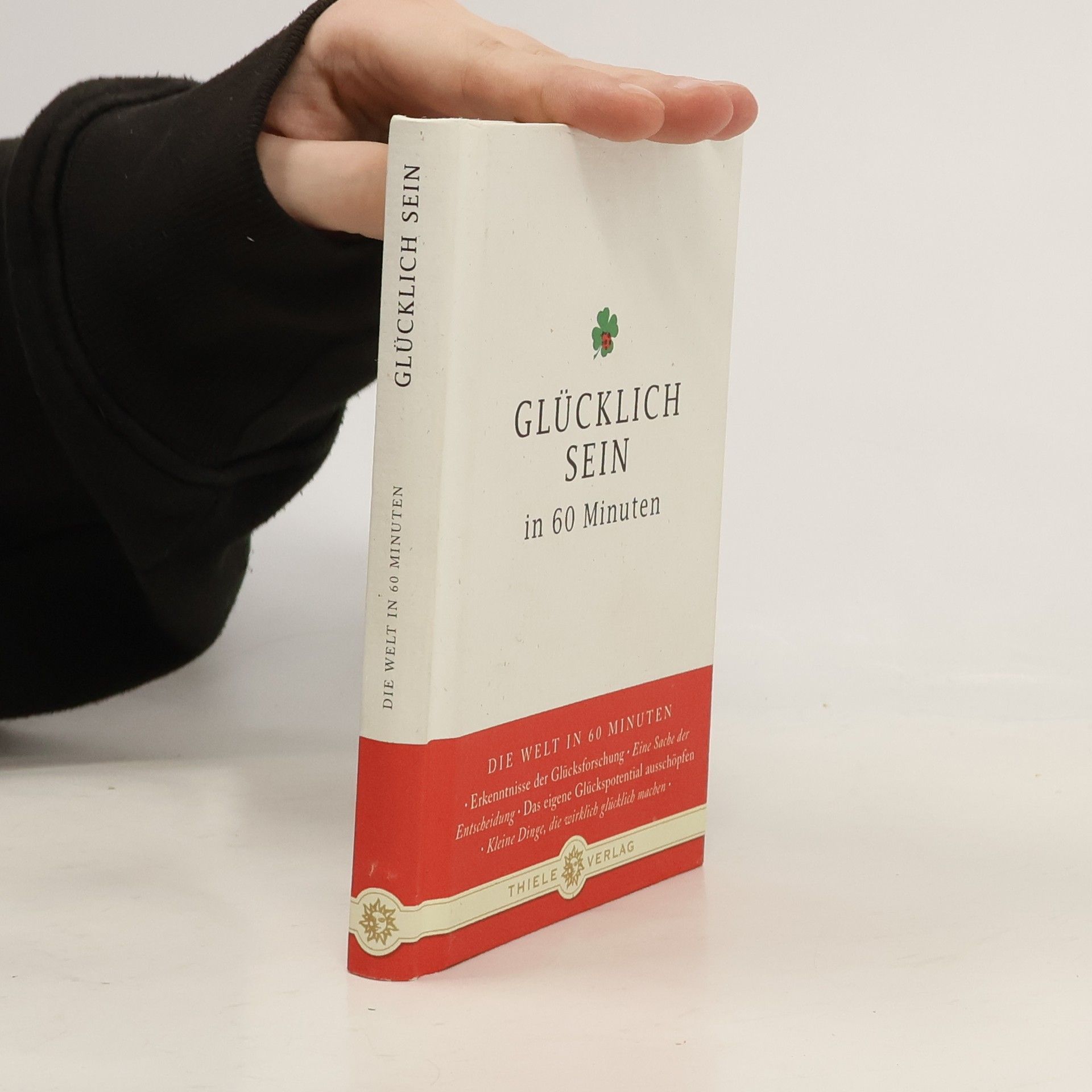 Johannes Thiele Glücklich sein in 60 Minuten