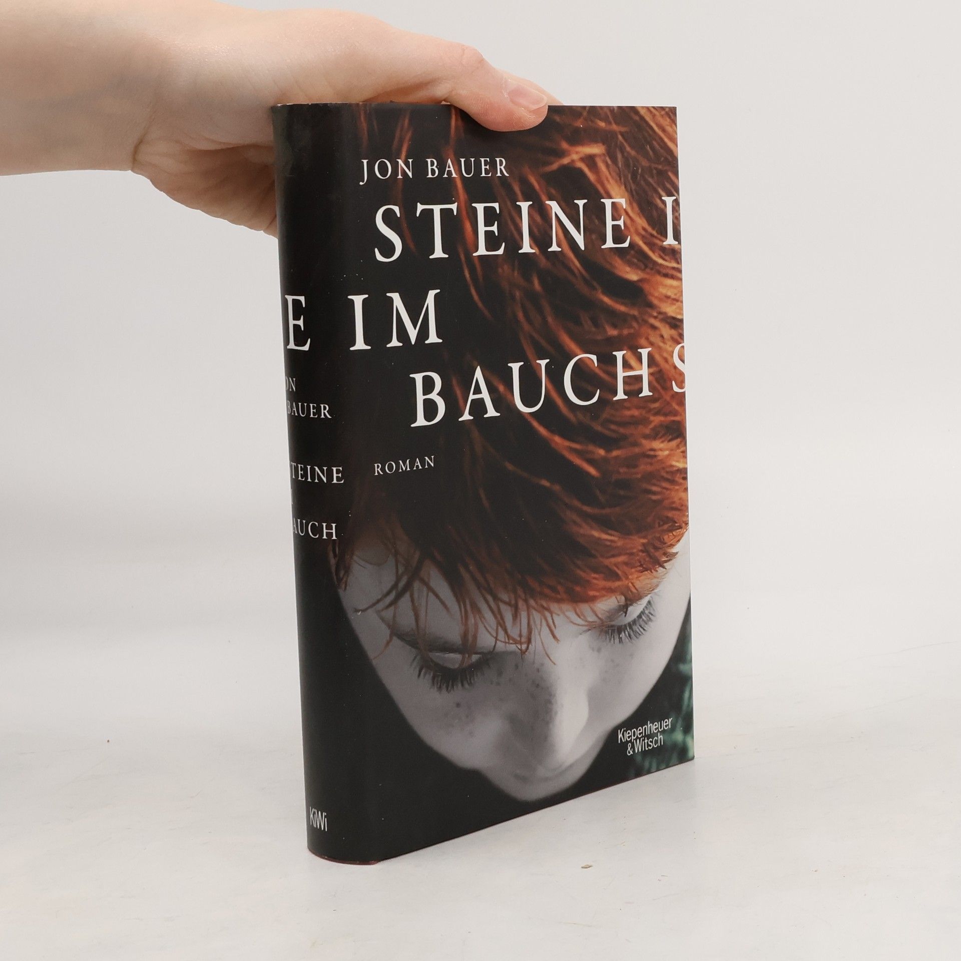 Jon Bauer Steine im Bauch