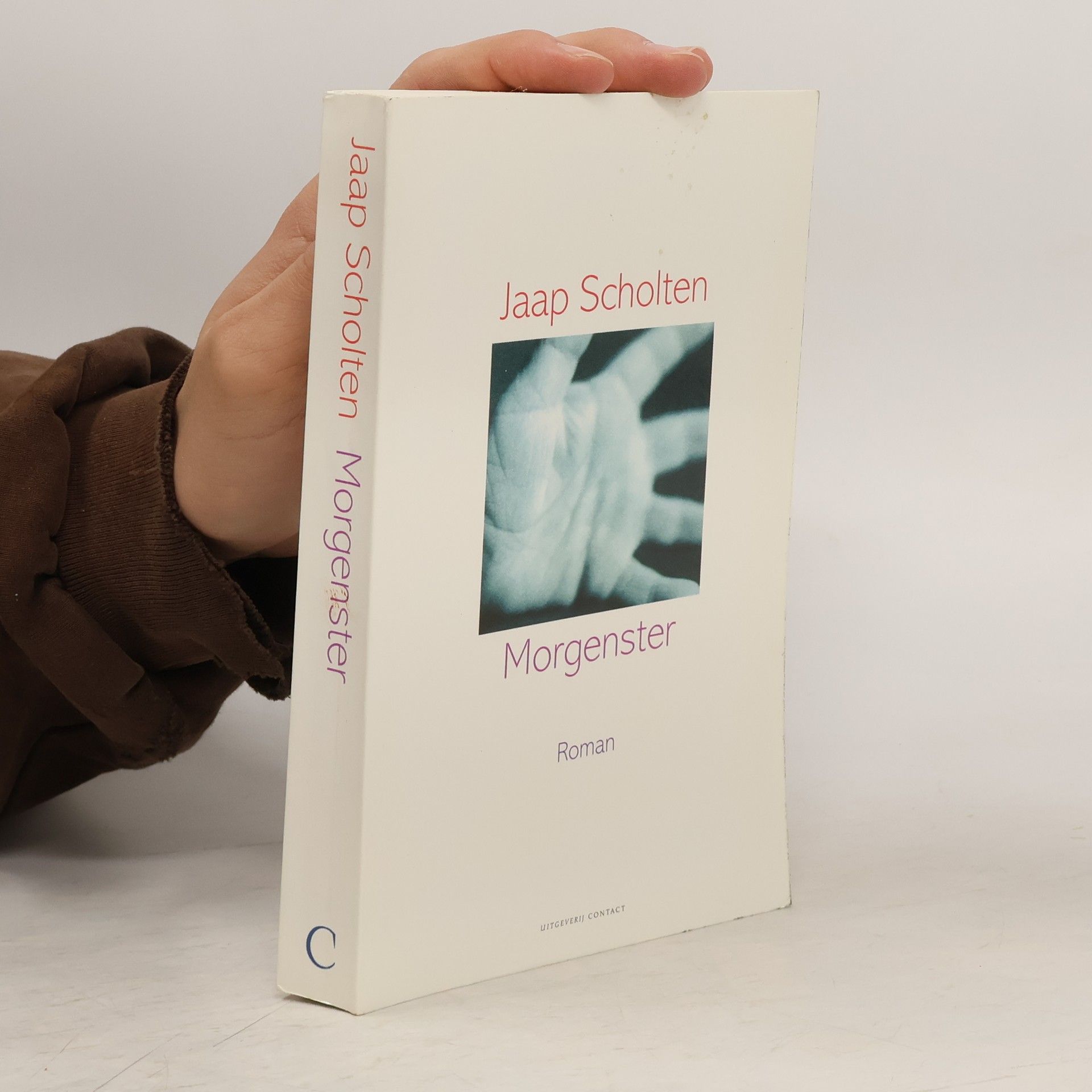 Jaap Frederik Scholten Morgenster