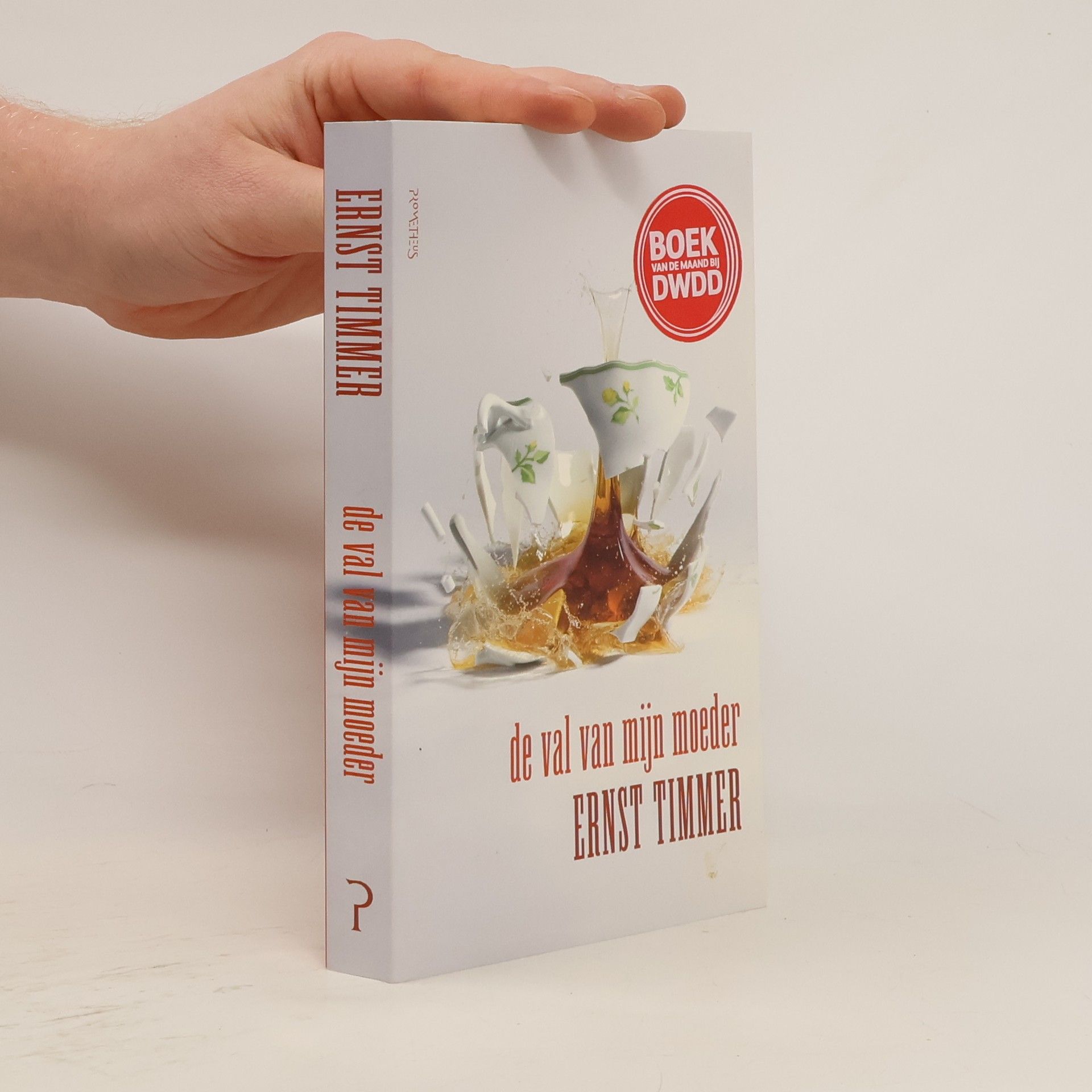 Ernst Timmer De val van mijn moeder / druk 1