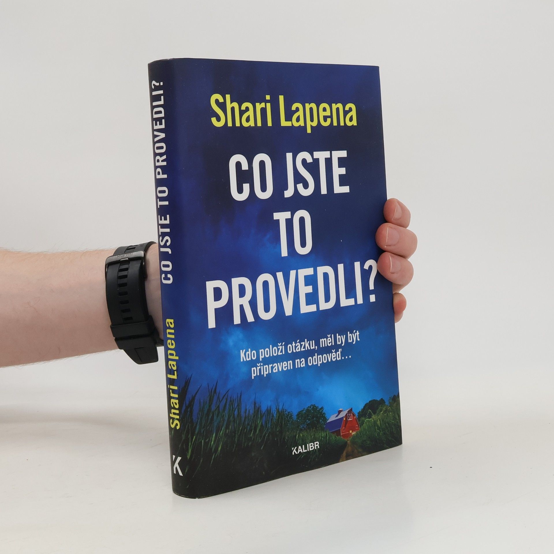 Shari Lapena Co jste to provedli?