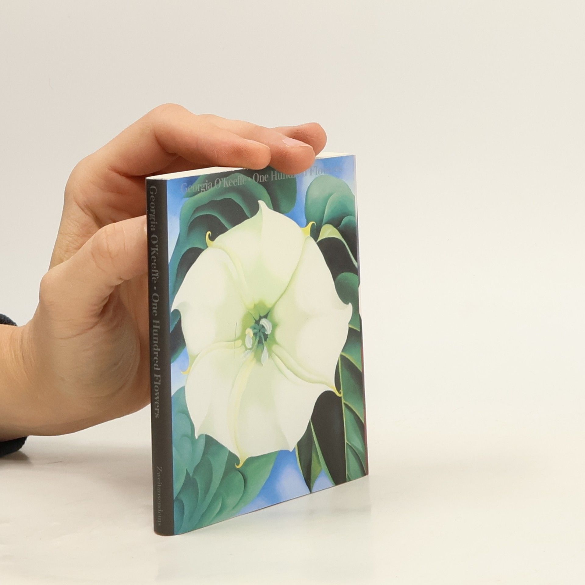 Collectif d'auteurs One Hundred Flowers