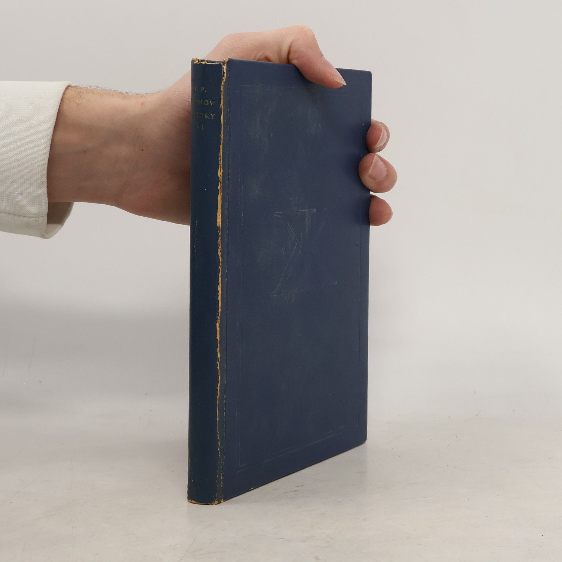 Anton Pavlovič Čechov Povídky VI. 1896–1903