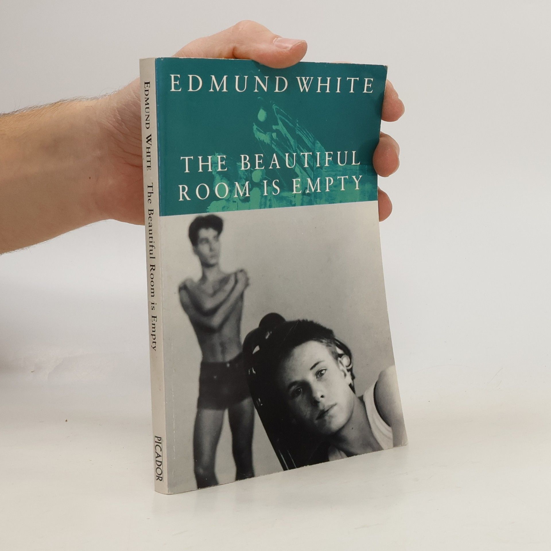 Edmund White The Beautiful Room Is Empty