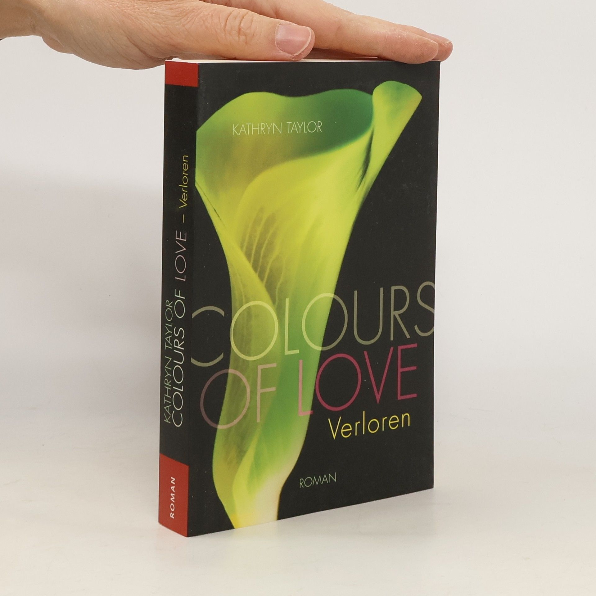 Kathryn Taylor Colours of Love. Verloren
