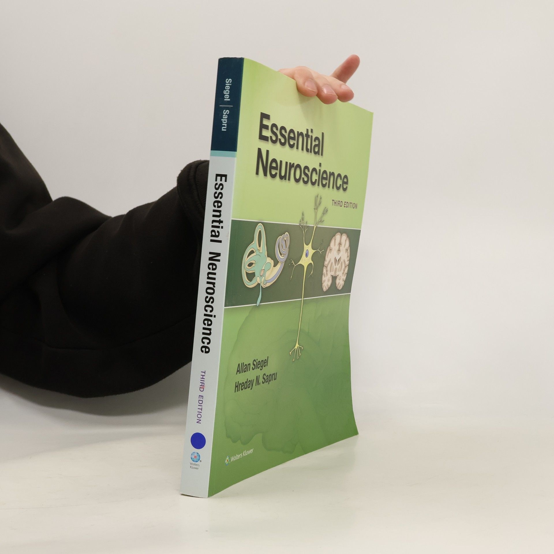 Allan Siegel Essential Neuroscience