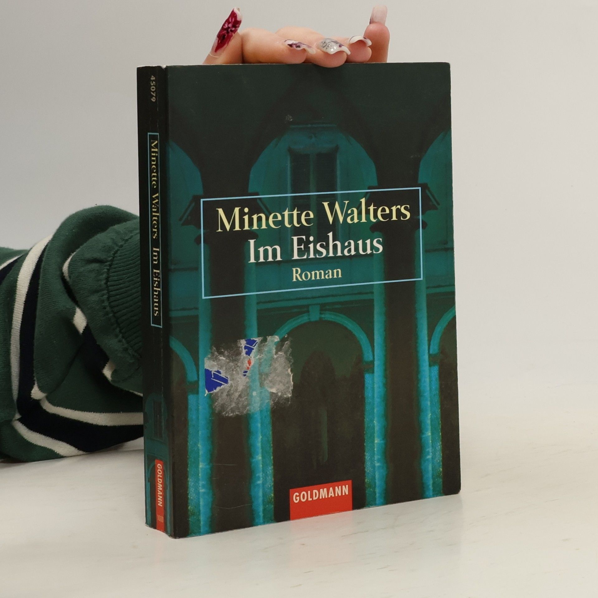 Minette Walter Im Eishaus