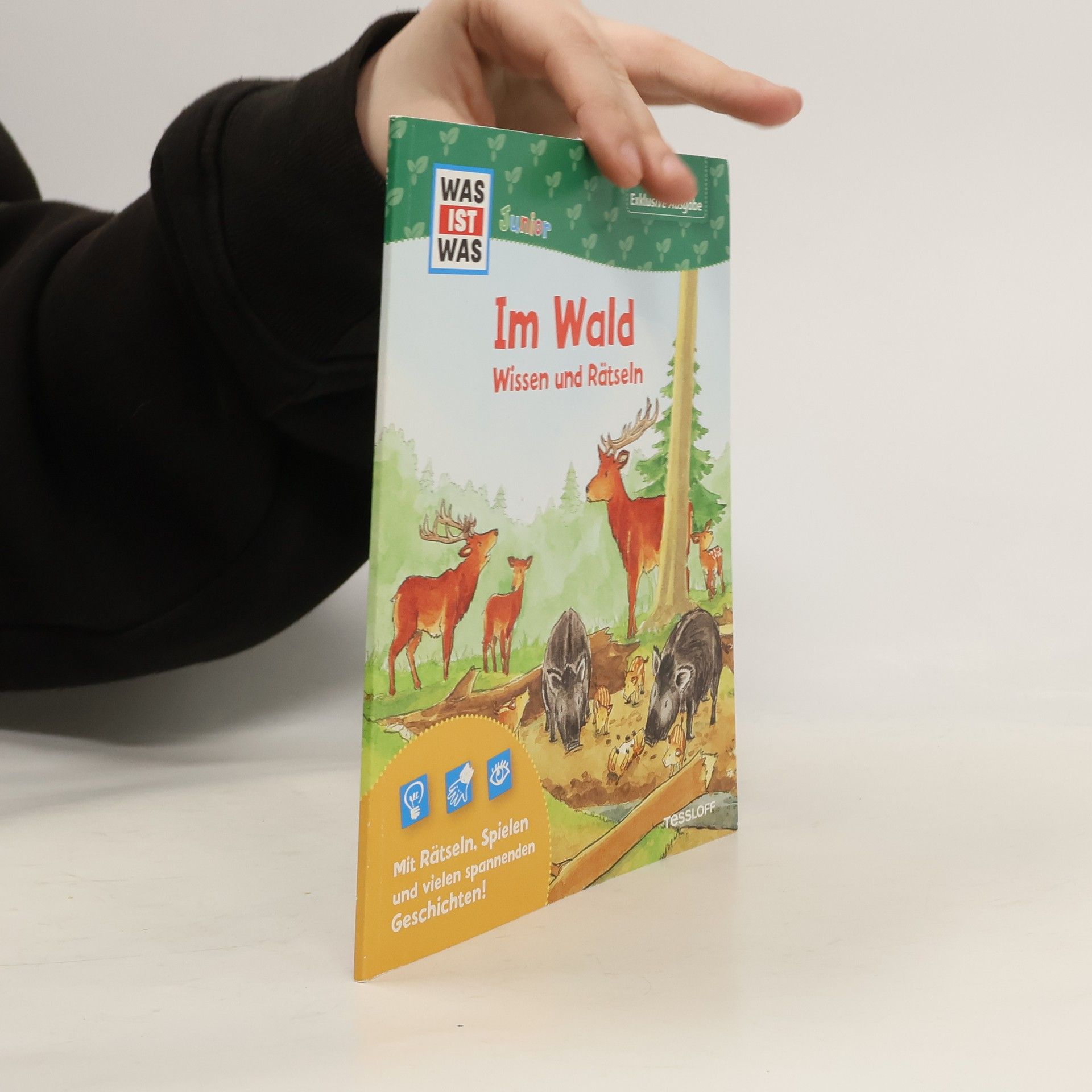 Im Wald. Wissen und Rätseln