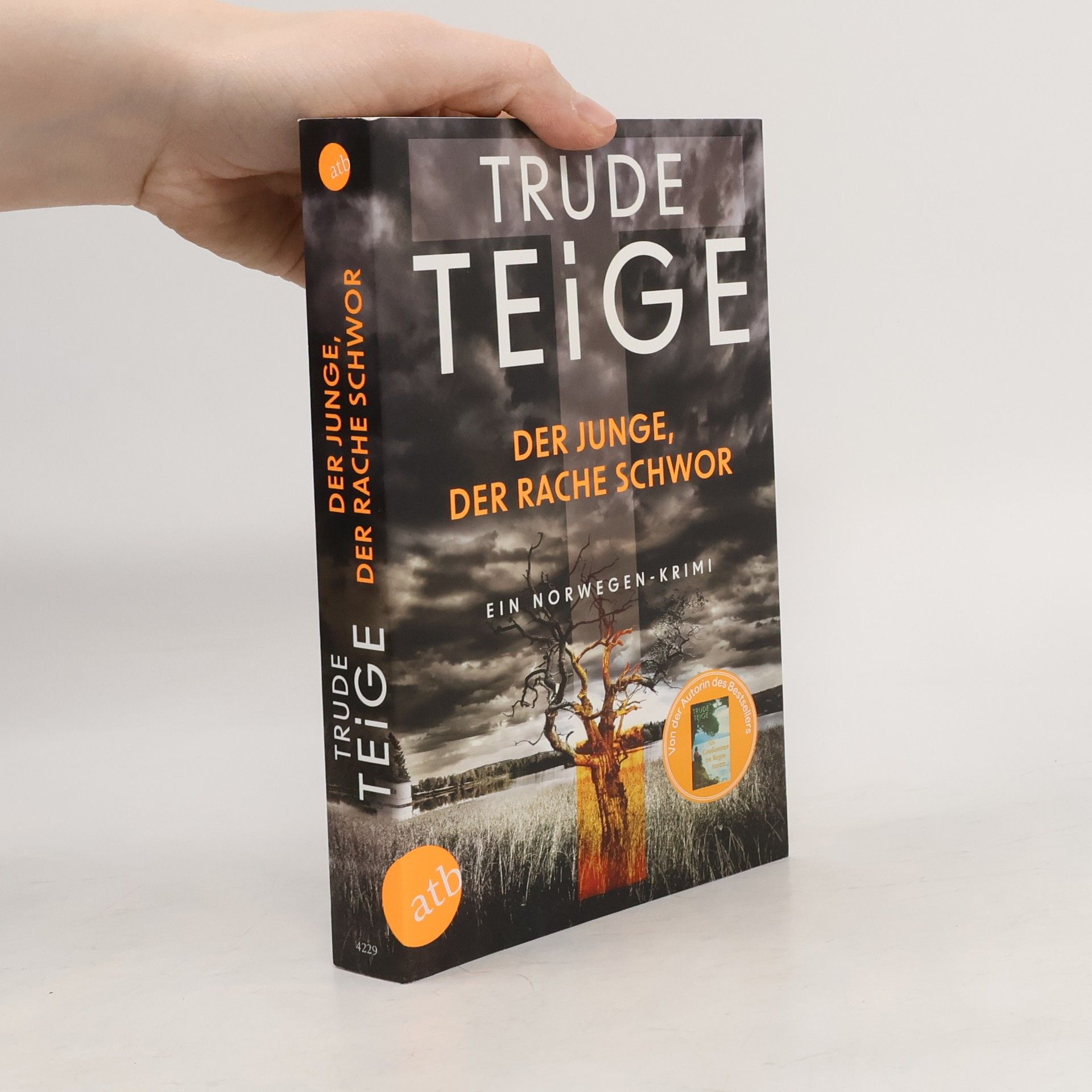 Der Junge, der Rache schwor