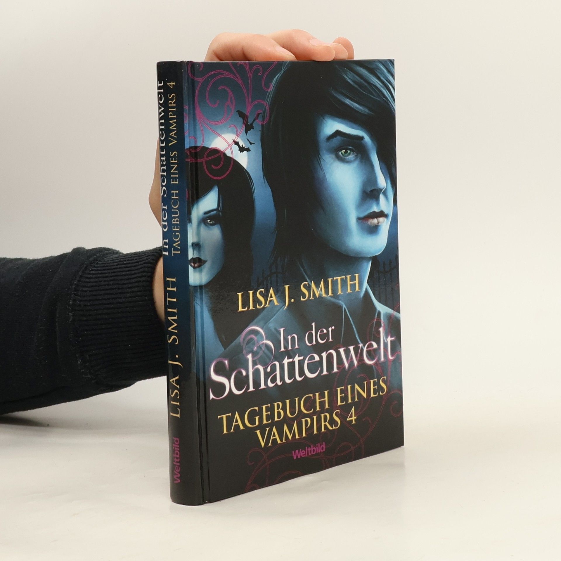 L. J. Smith Tagebuch eines Vampirs 4. In der Schattenwelt