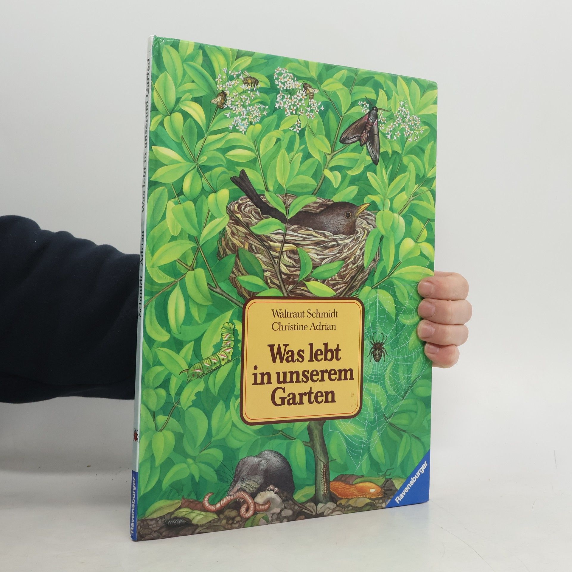 Was lebt in unserem Garten