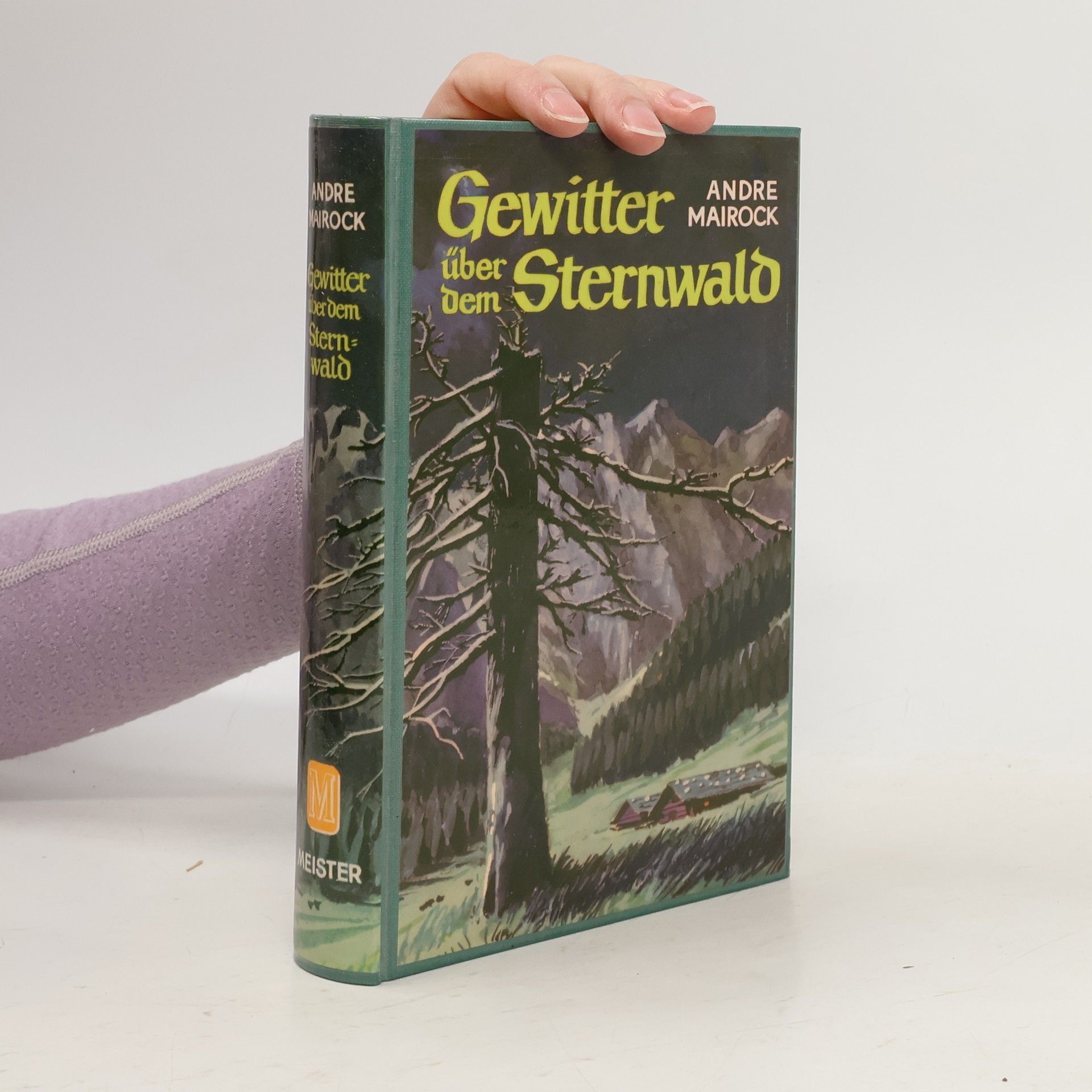 André Mairock Gewitter über dem Sternwald