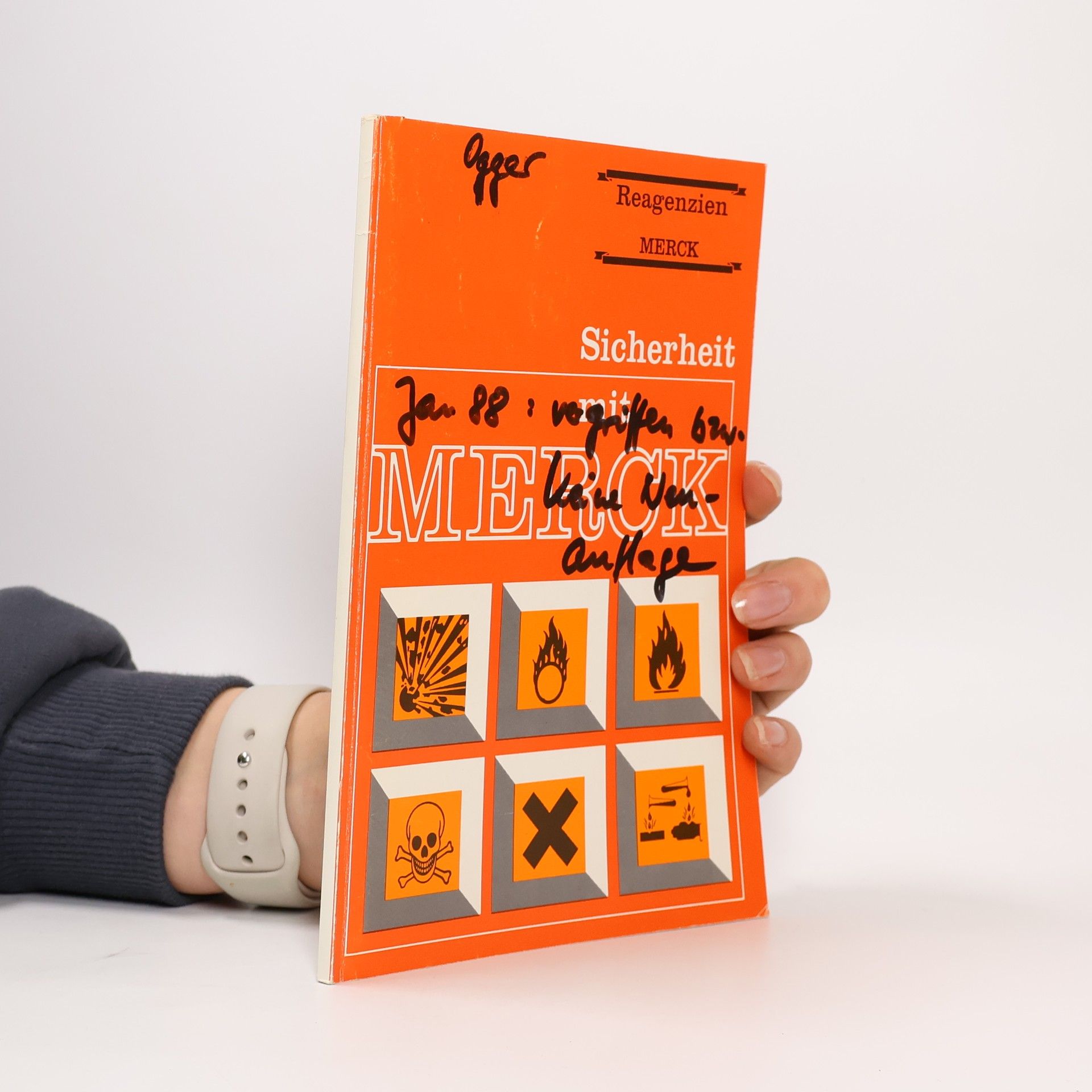 Kolektív autorov Sicherheit