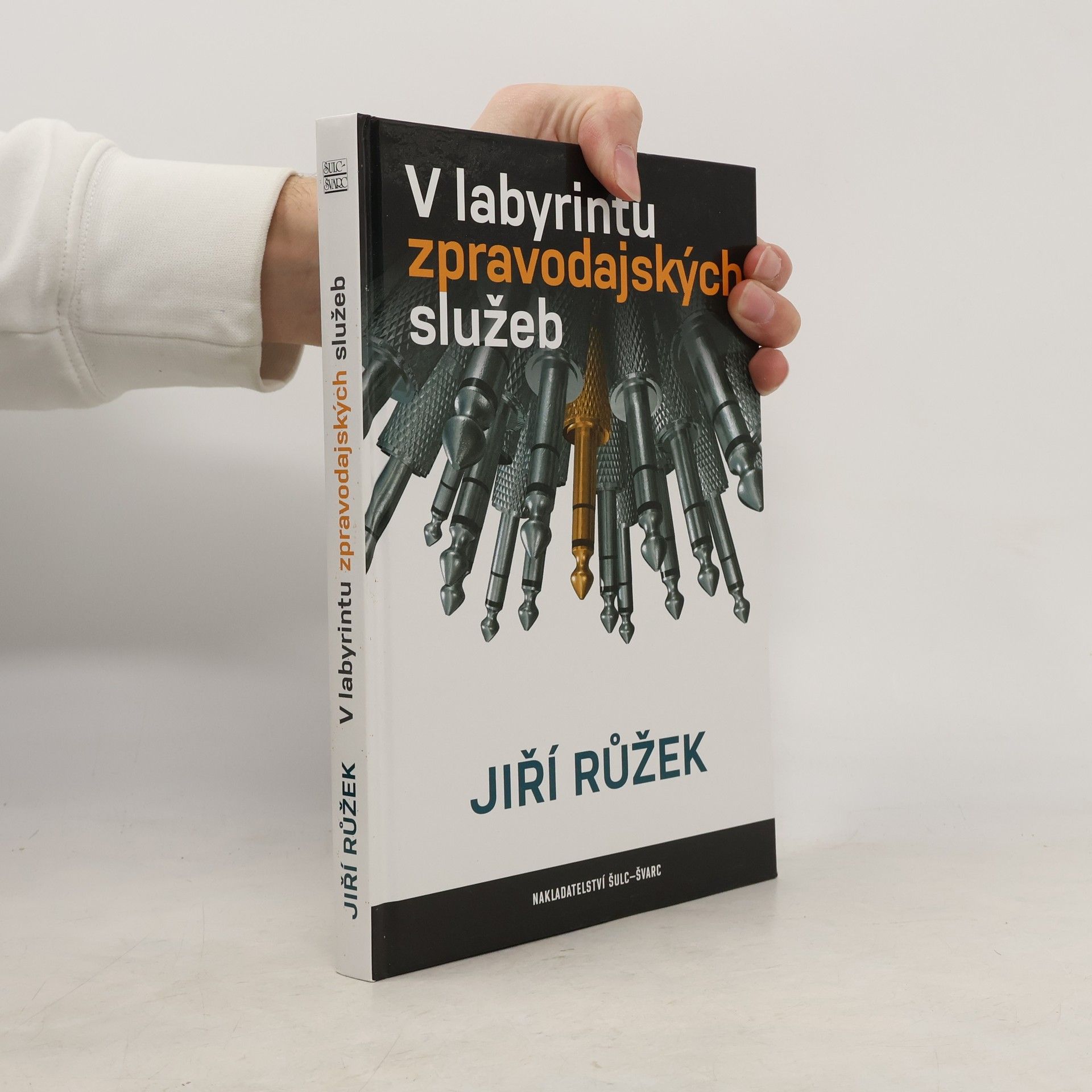 Jiří Růžek V labyrintu zpravodajských služeb