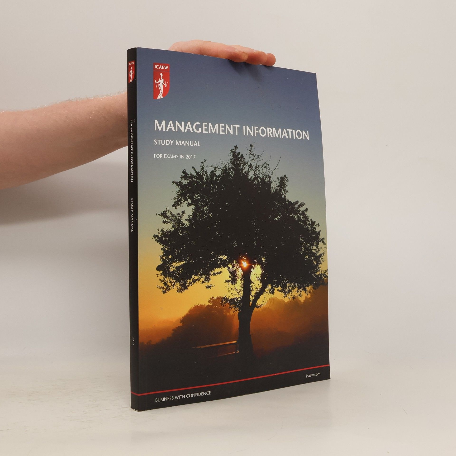 Autores varios Management Information