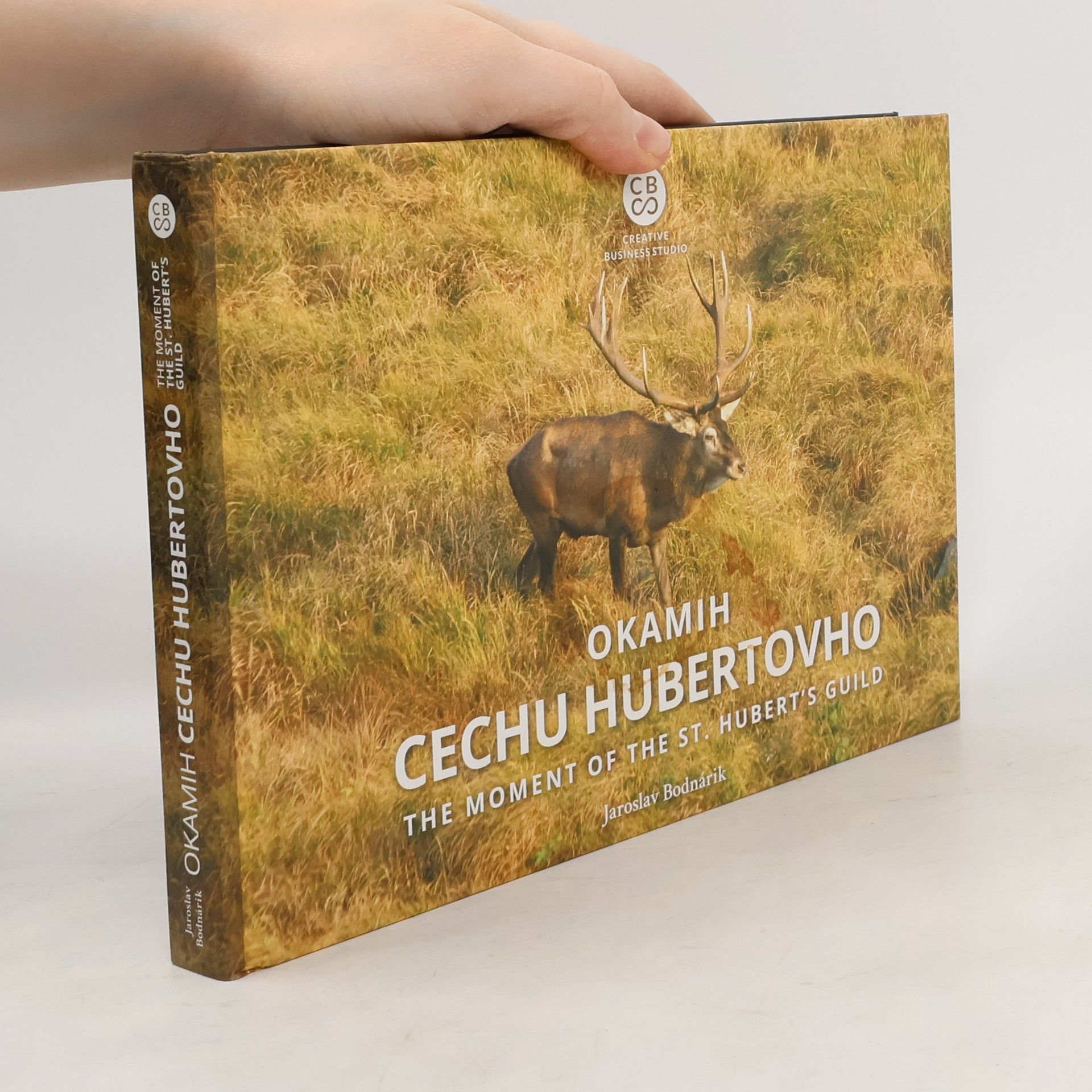 Jaroslav Bodnárik Okamih cechu Hubertovho