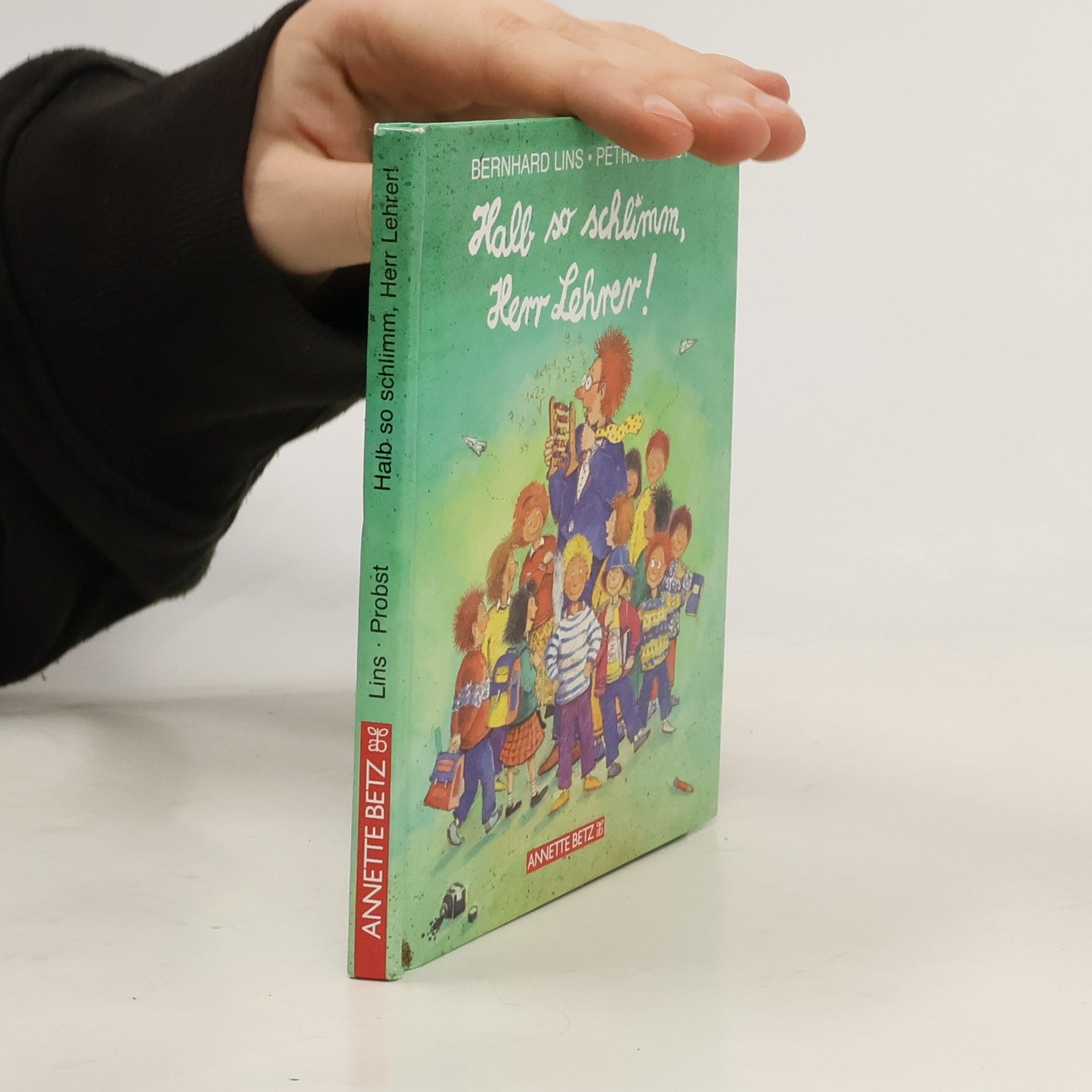 Bernhard Lins Halb so schlimm, Herr Lehrer, kleine Ausgabe