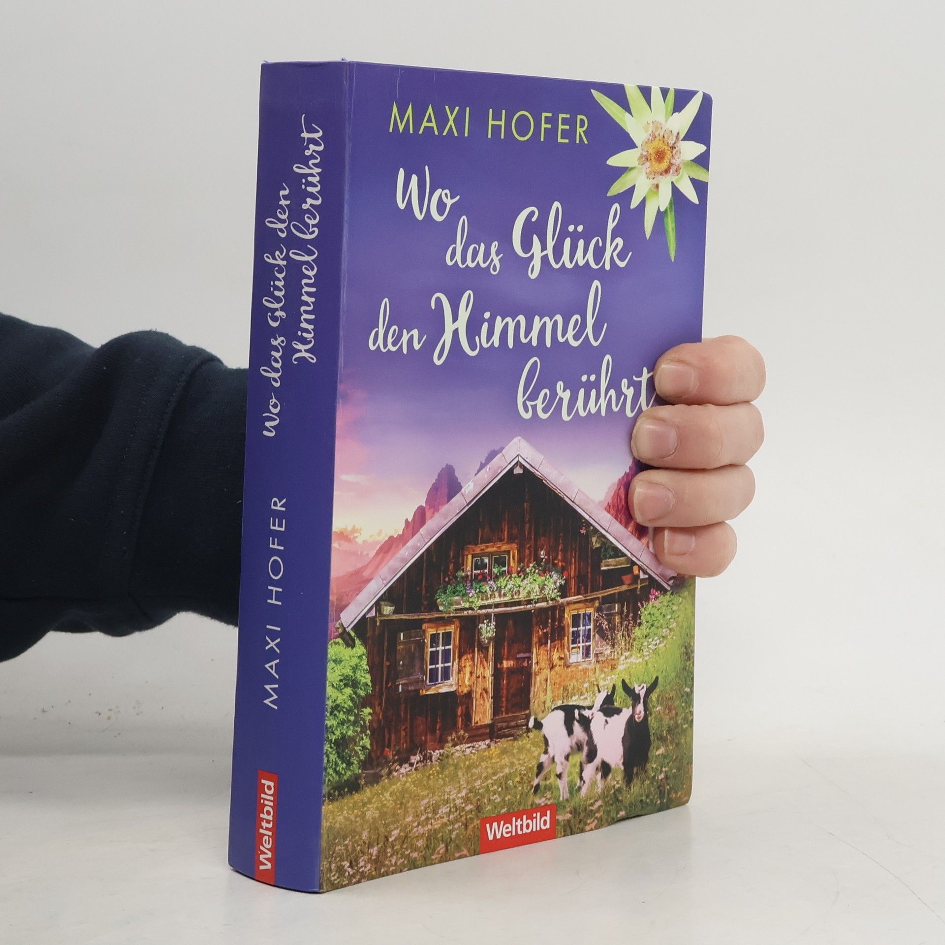 Maxi Hofer Wo das Glück den Himmel berührt