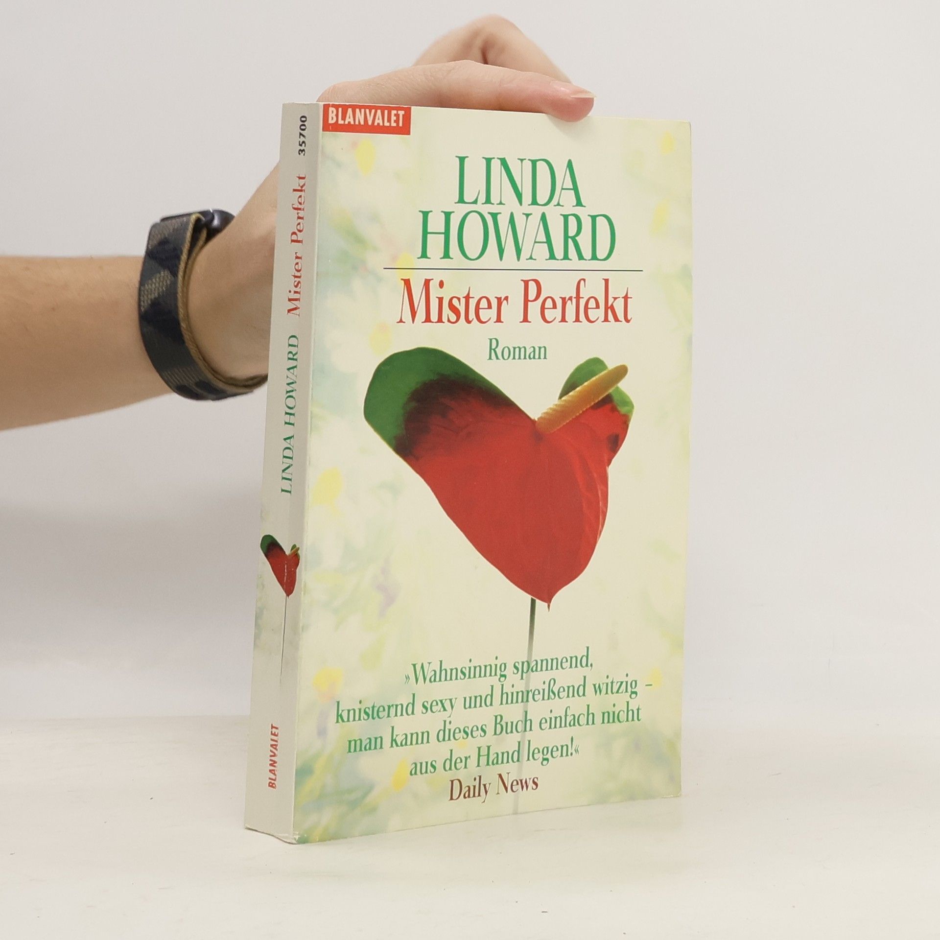 Linda Howard Mister Perfekt