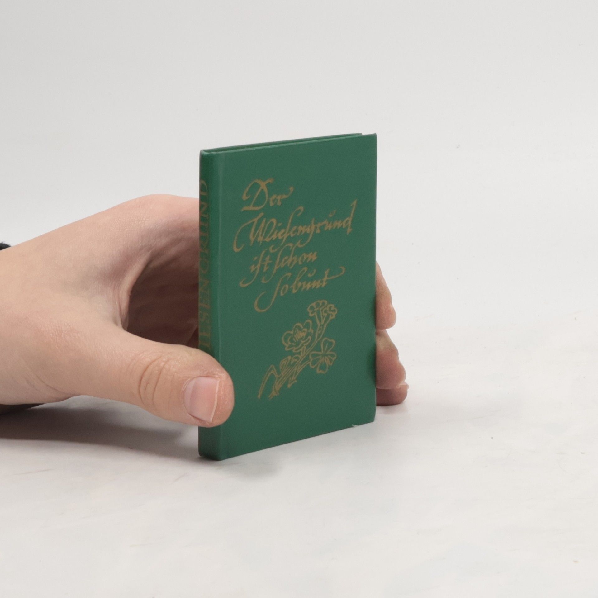 Otto Fischer-Trachau Der Wiesengrund ist schon so bunt