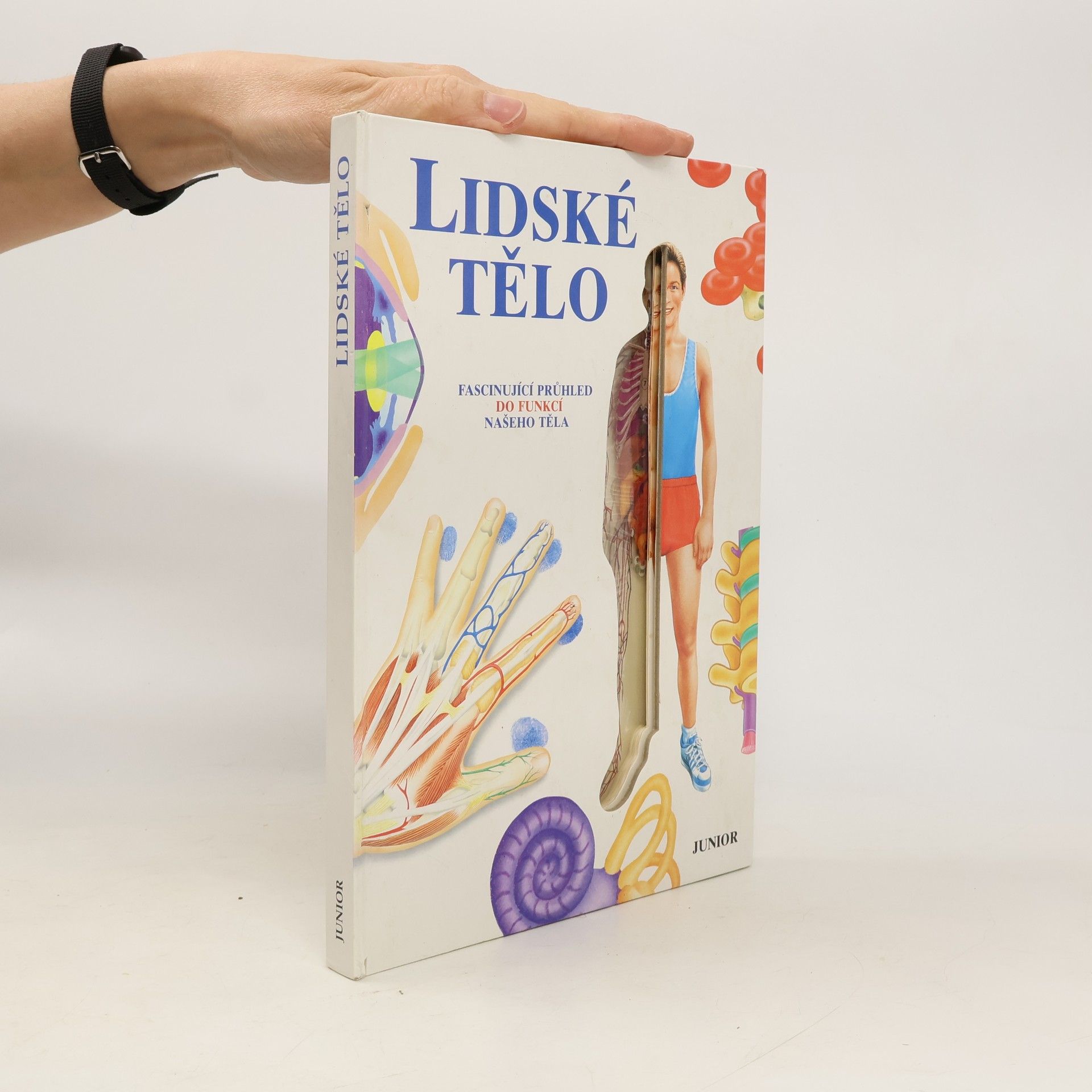 Ivo Pospíšil Lidské tělo : fascinující průhled do funkcí našeho těla