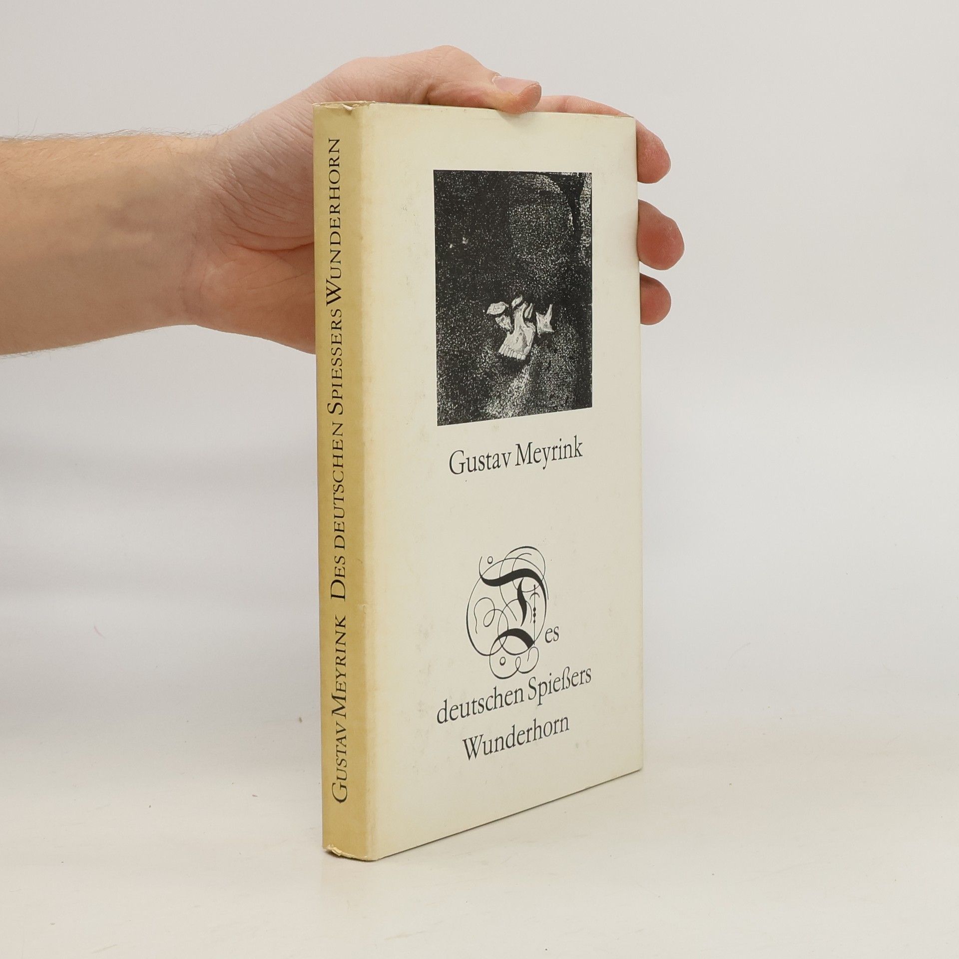 Gustav Meyrink Des deutschen Spiessers Wunderhorn