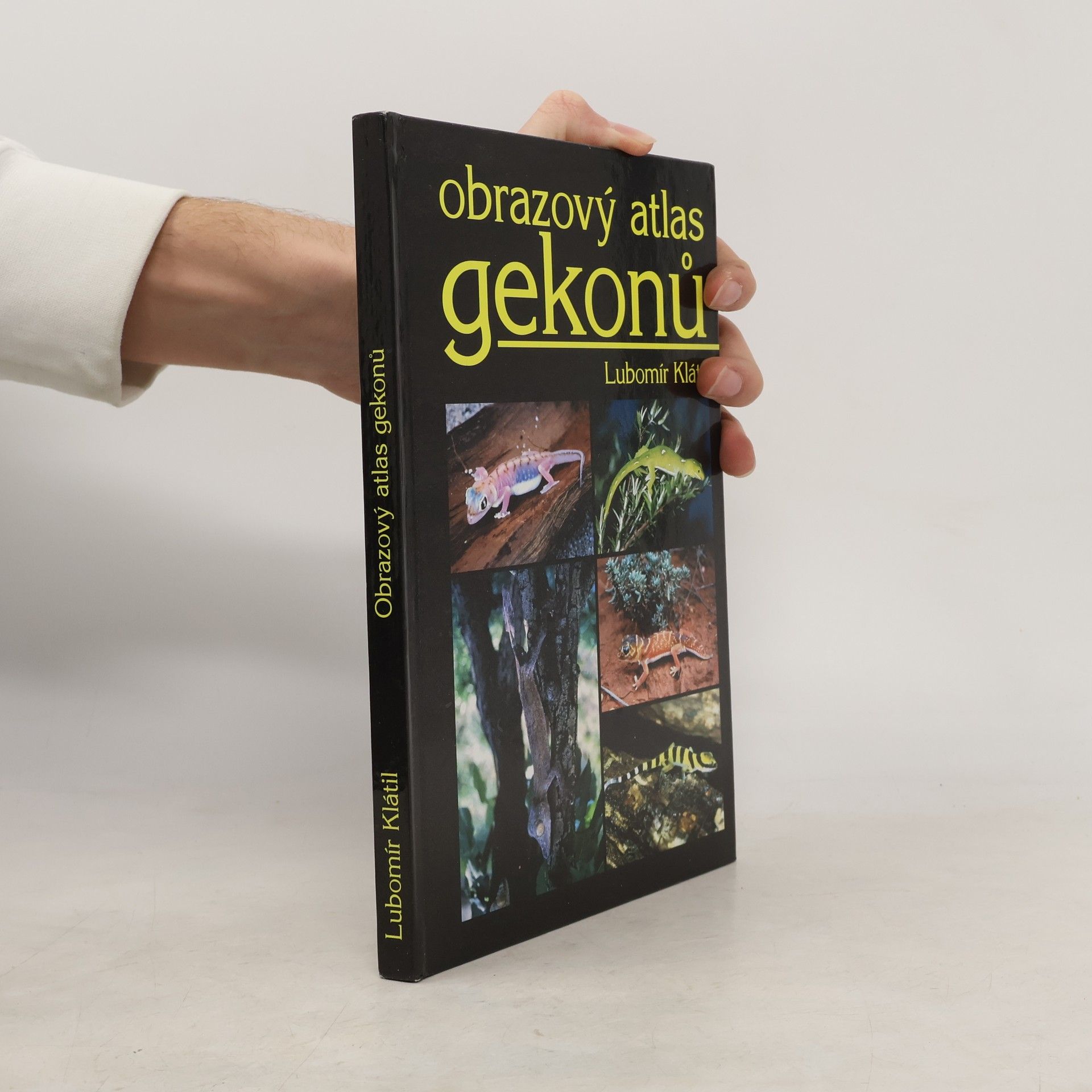 Obrazový atlas gekonů