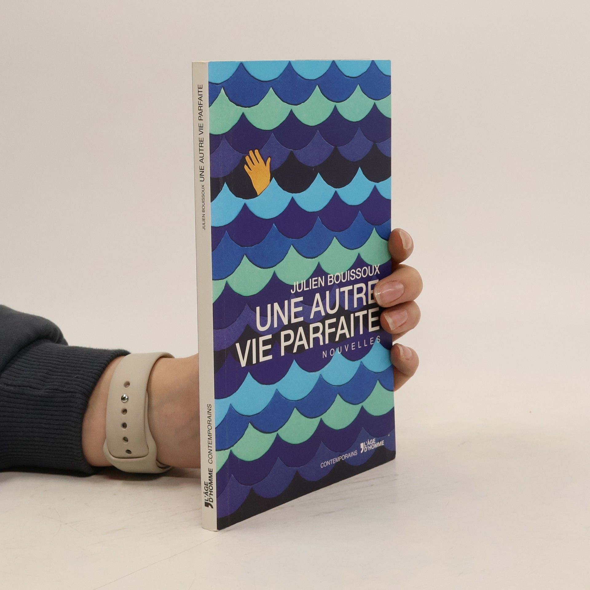 Julien Bouissoux Une autre vie parfaite