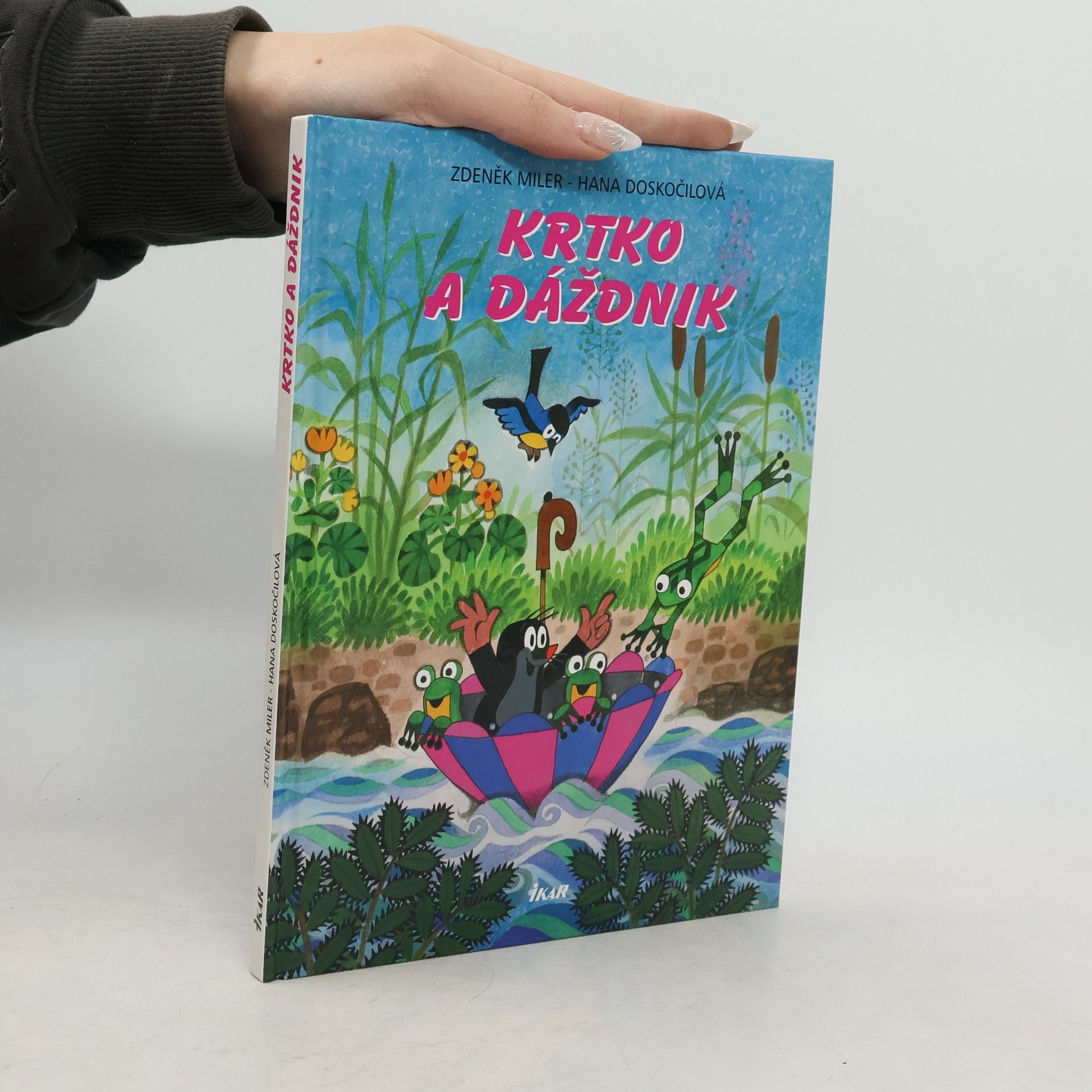 Hana Doskočilová Krtko a dáždnik