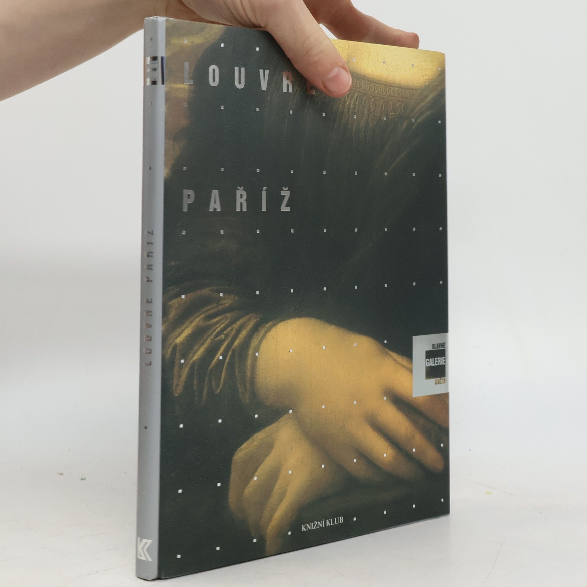 Alessandra Fregolent Slavné galerie světa. Louvre - Paříž