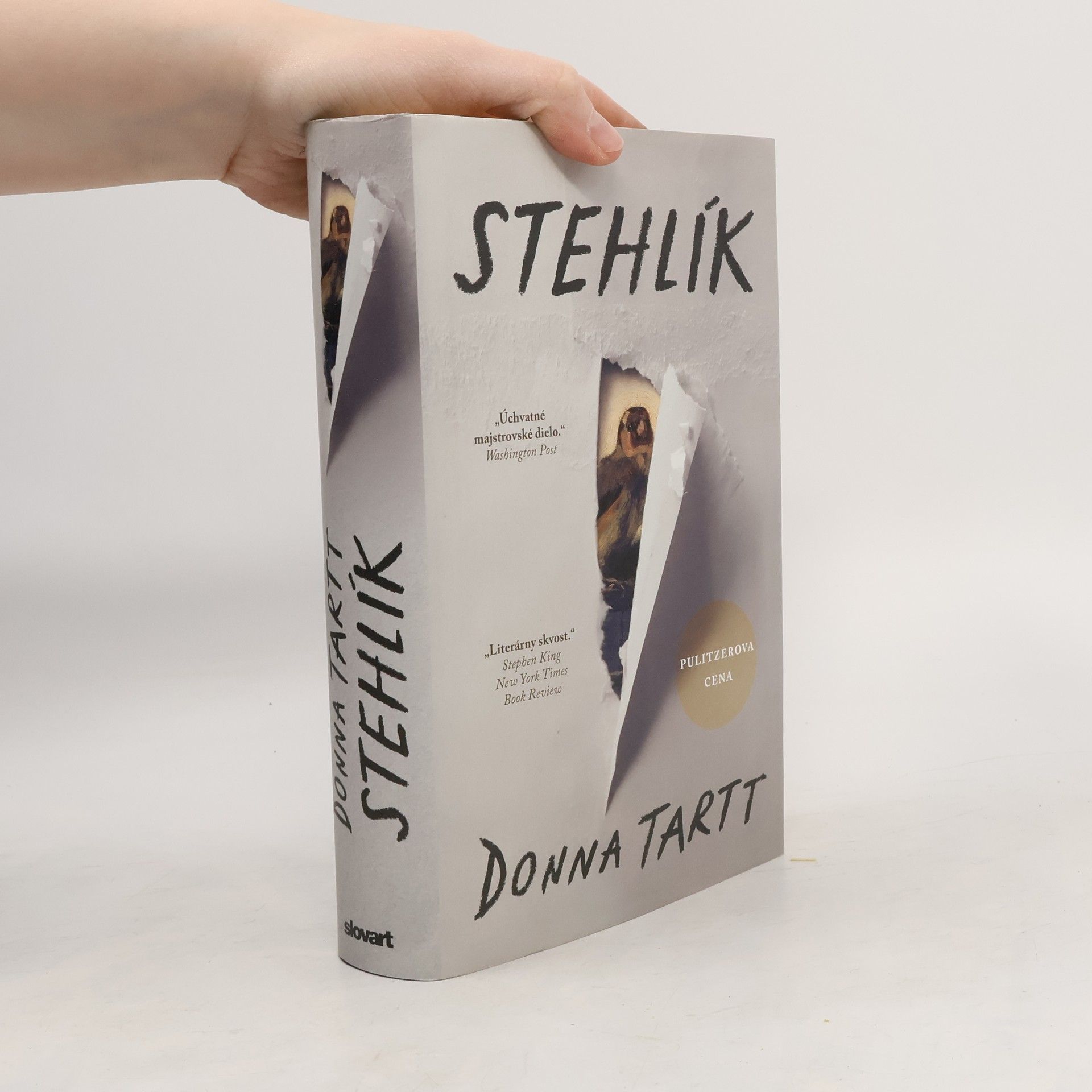 Donna Tartt Stehlík