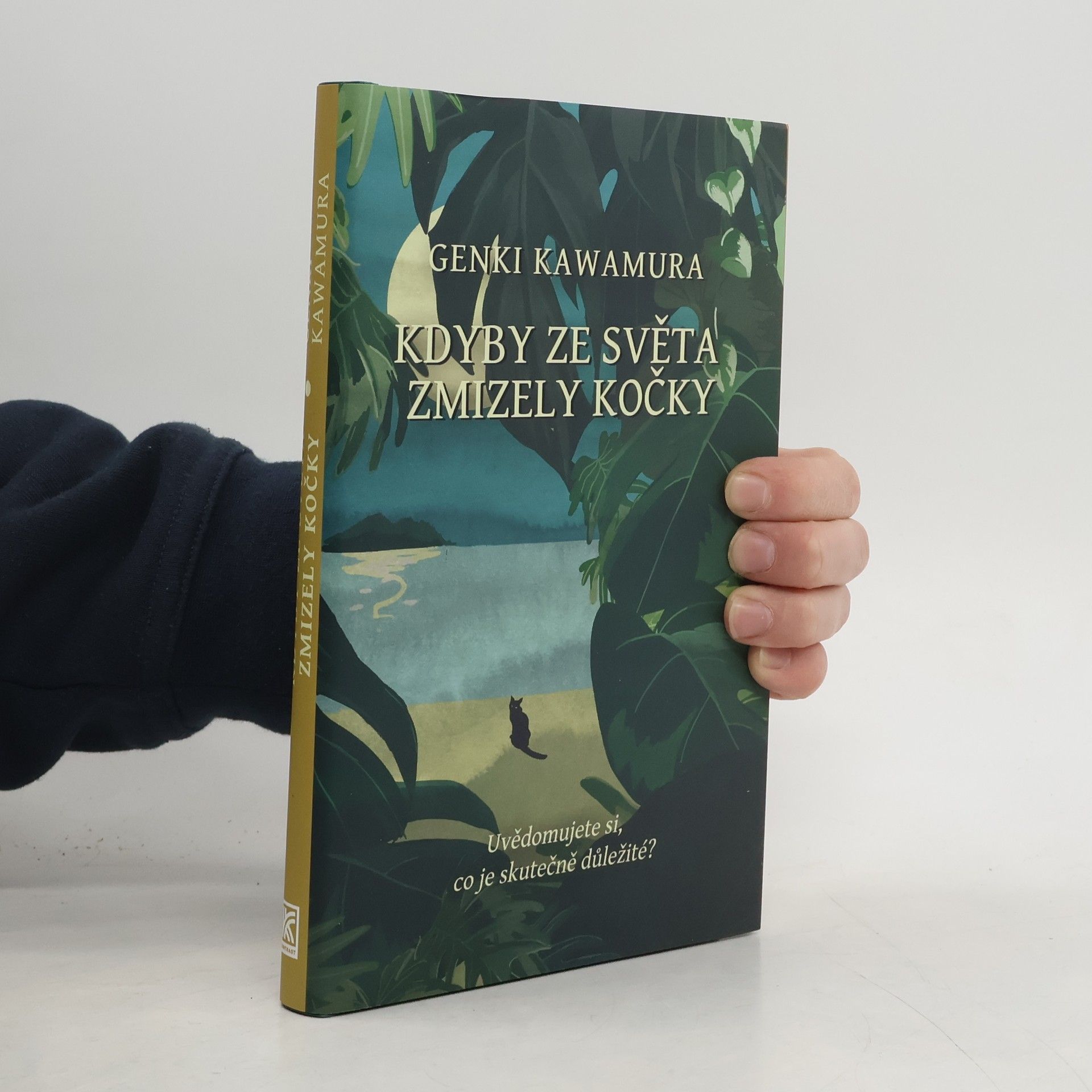 Kdyby ze světa zmizely kočky