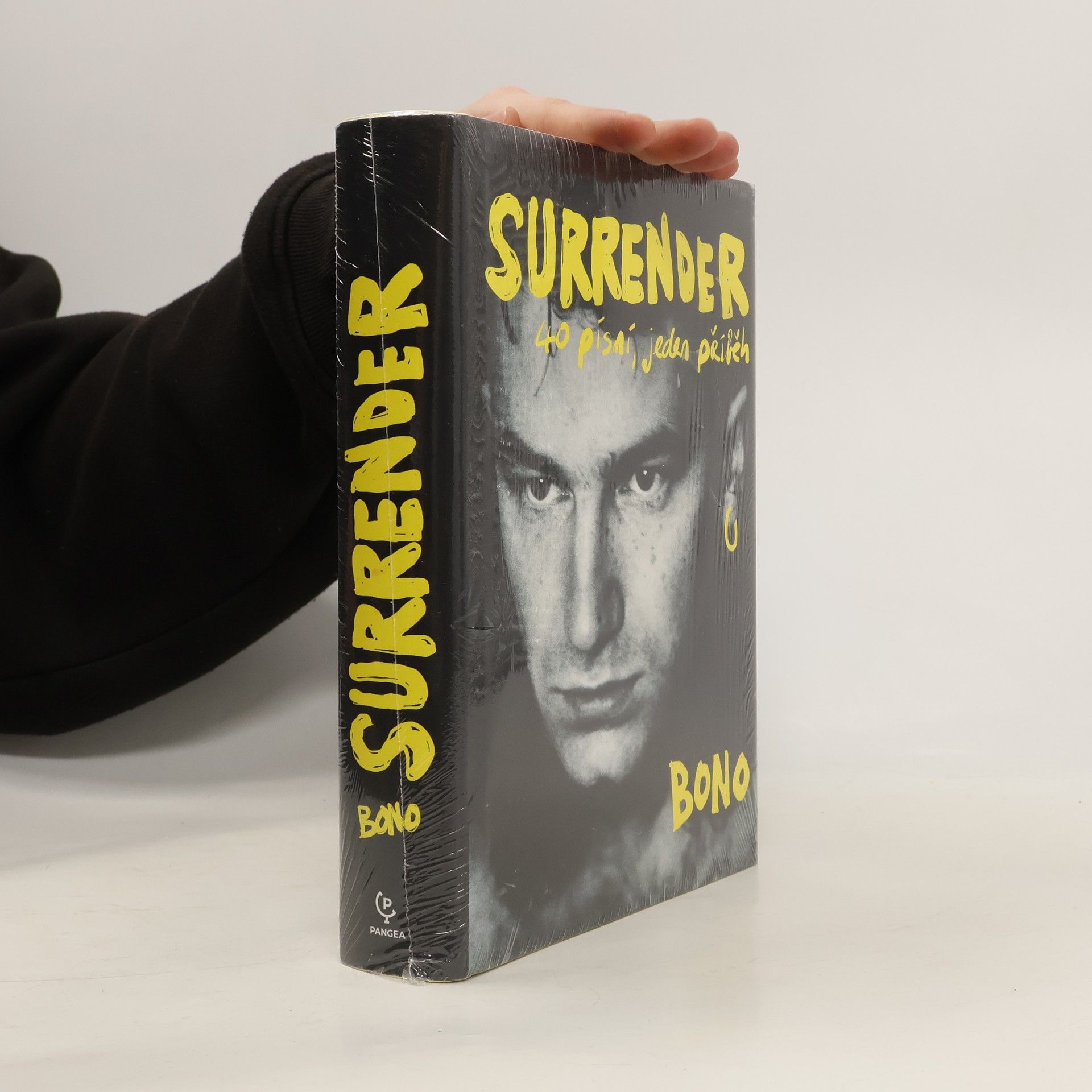 Bono Surrender : 40 písní, jeden příběh