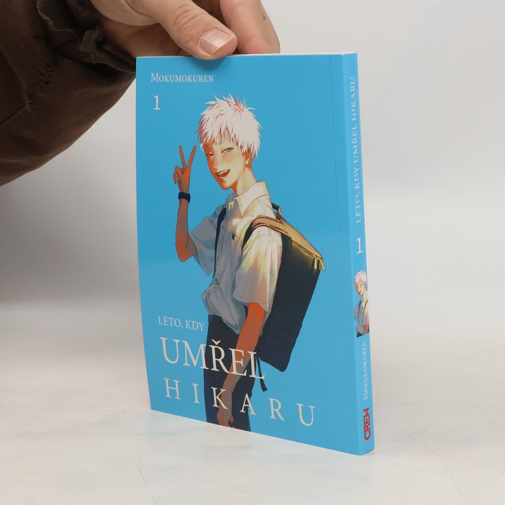 Léto, kdy umřel Hikaru 1