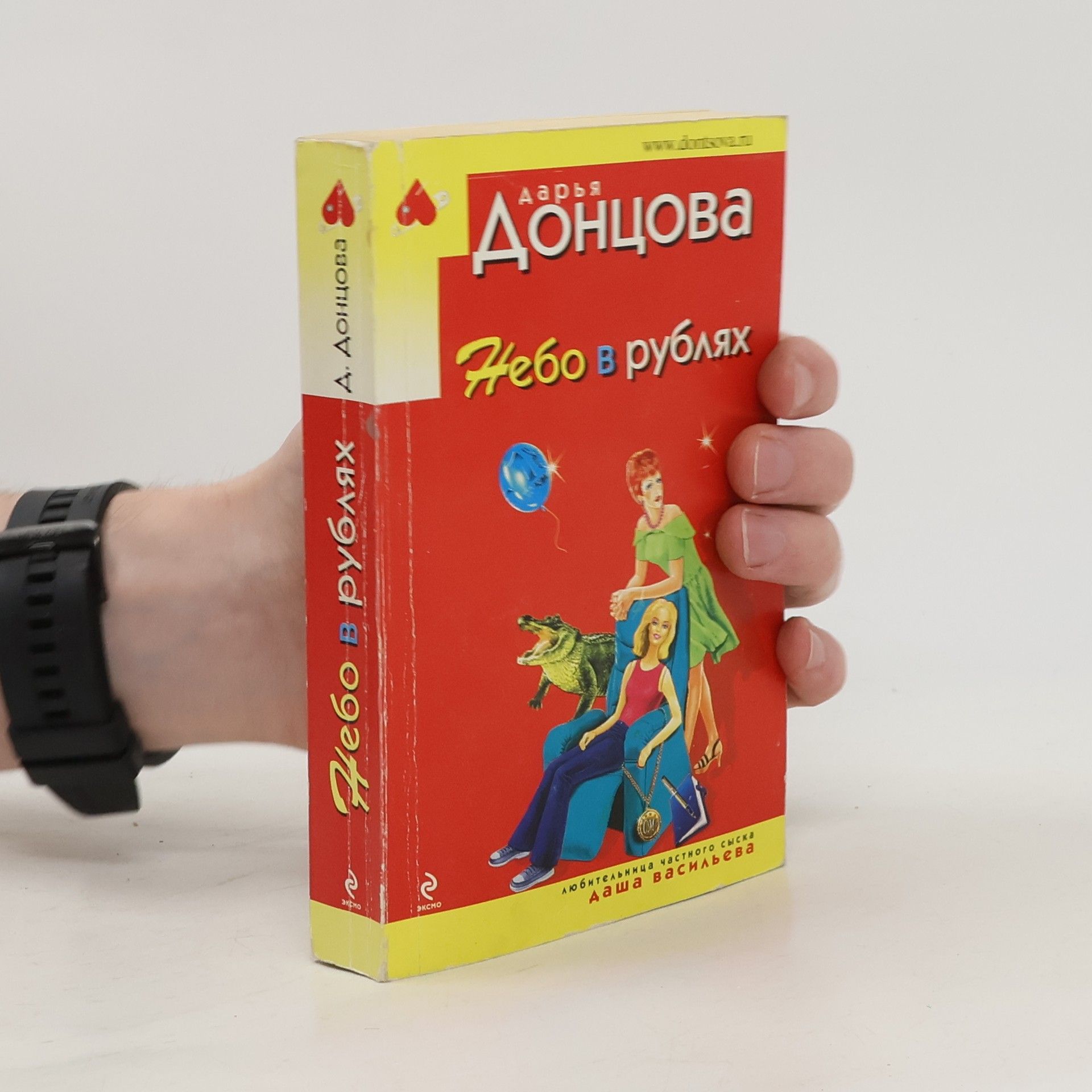 Darja Donzowa Даша Васильева. Любительница частного сыска: Небо в рублях